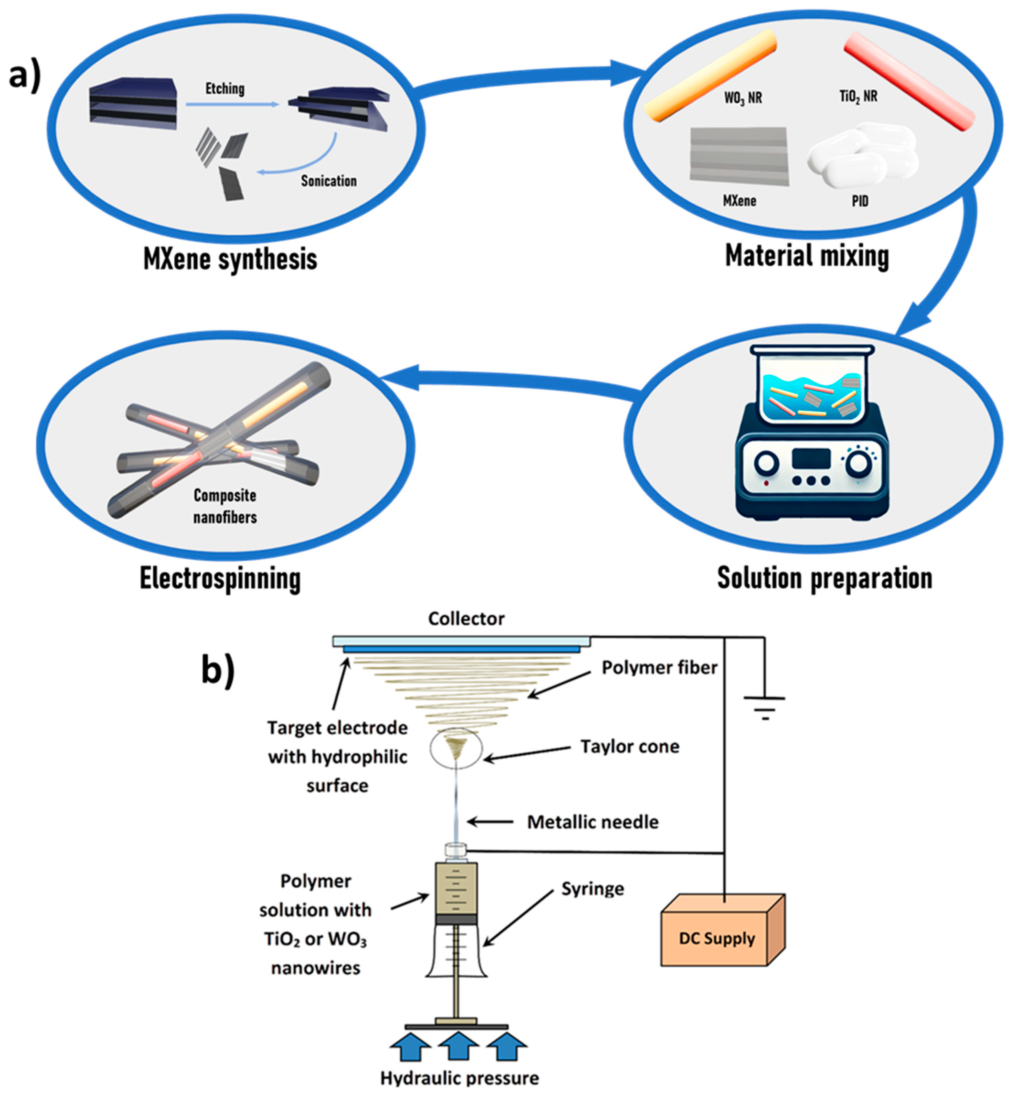 Nanomaterials 15 01371 g001