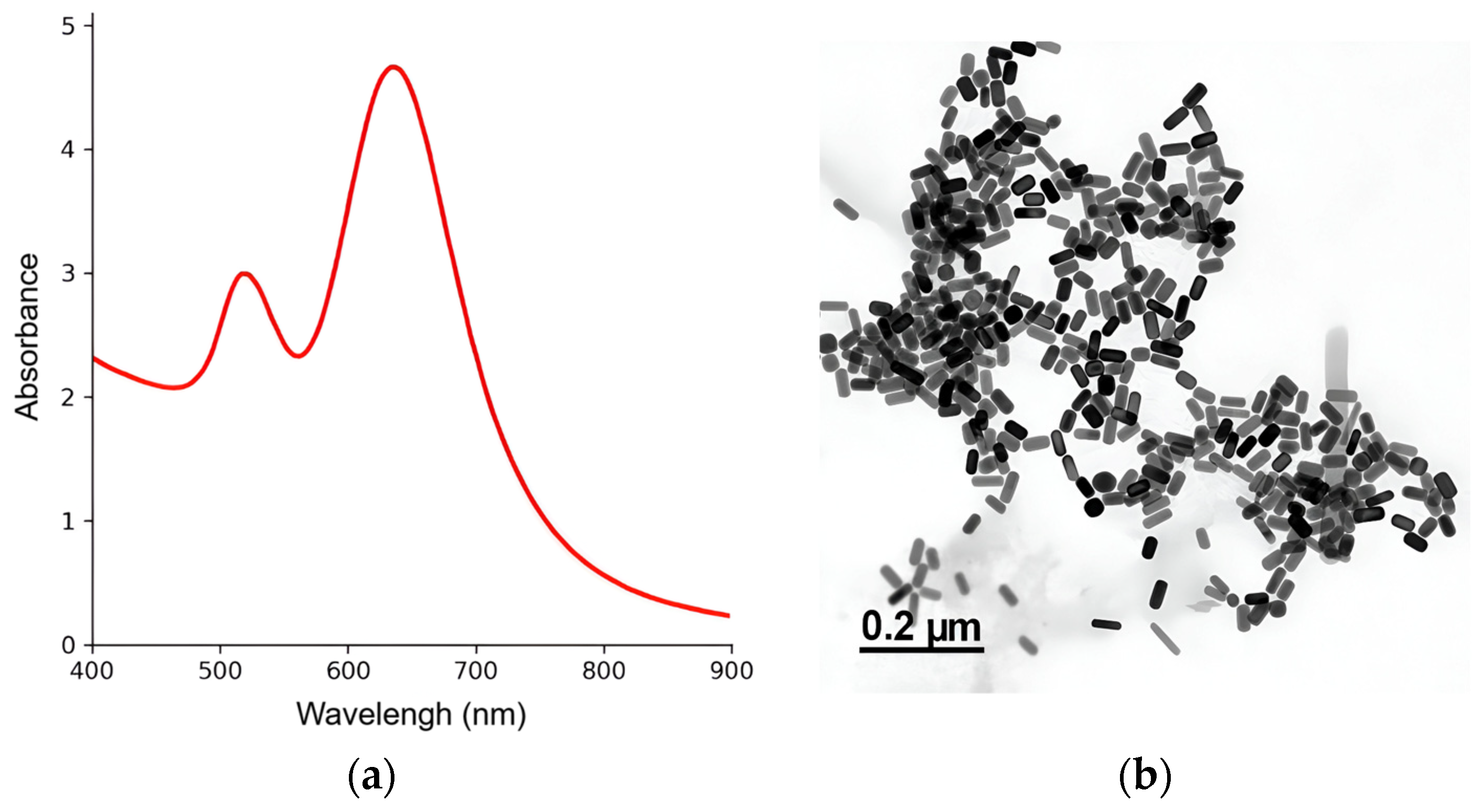 Nanomaterials 15 01373 g002