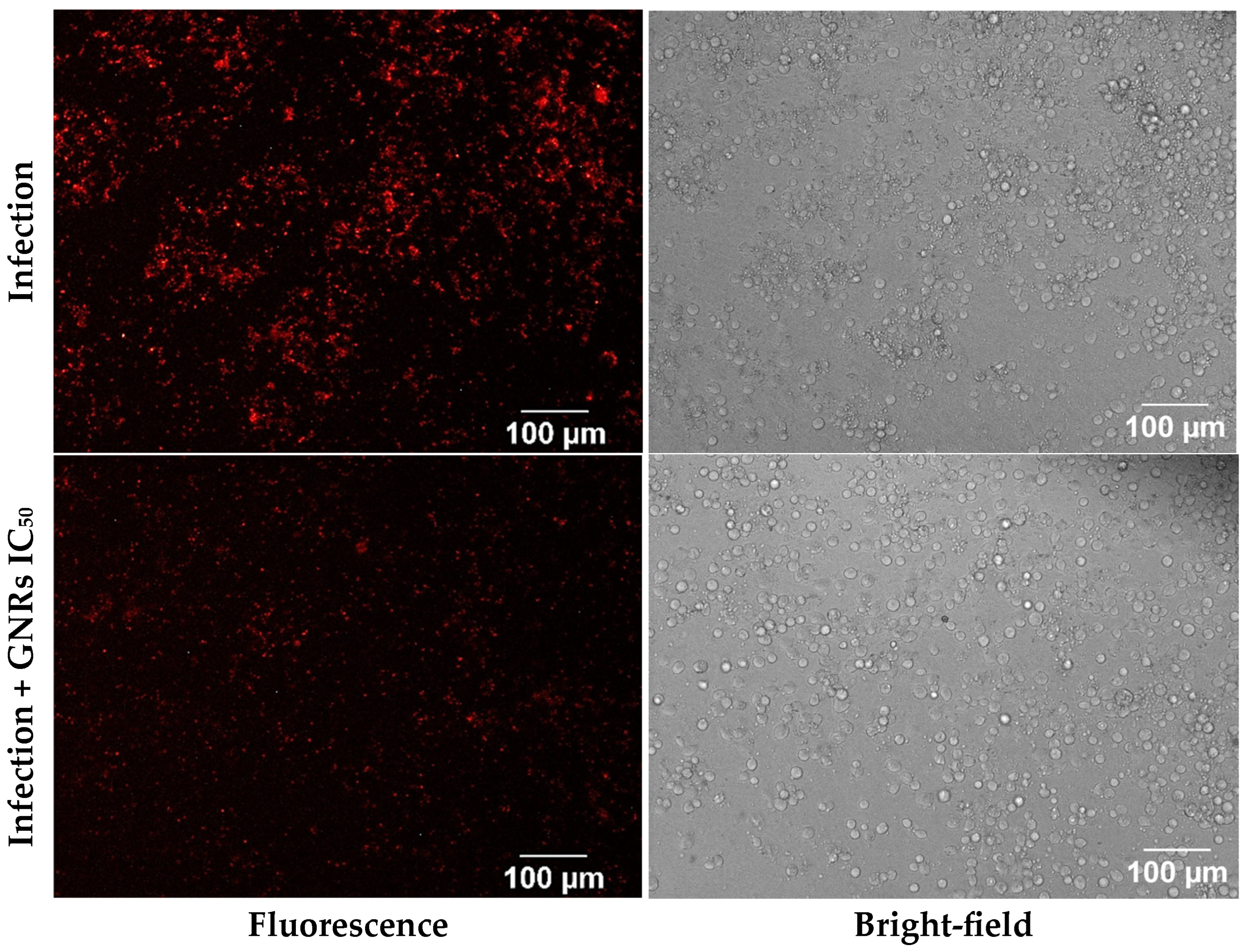 Nanomaterials 15 01373 g005