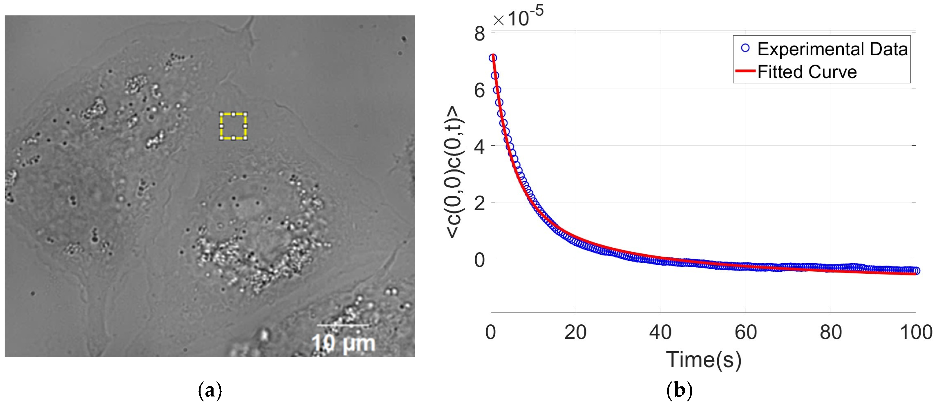 Nanomaterials 15 01373 g008