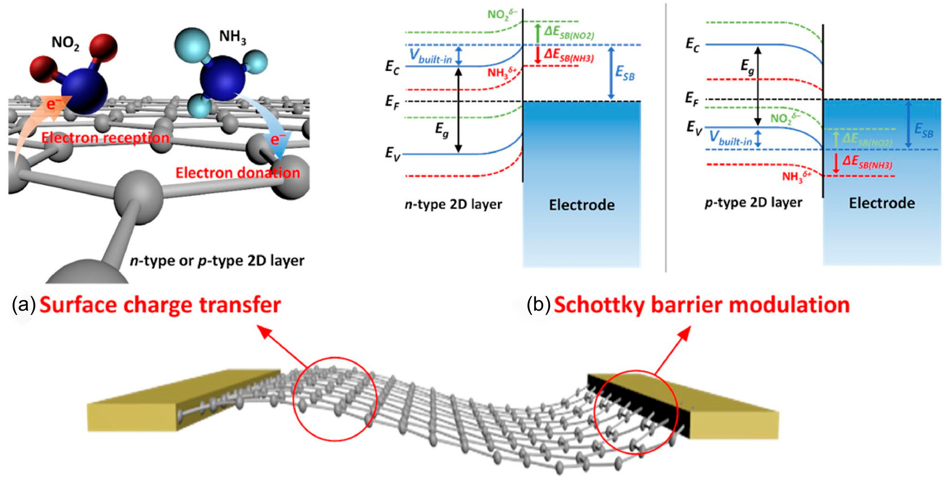 Nanomaterials 15 01381 g003