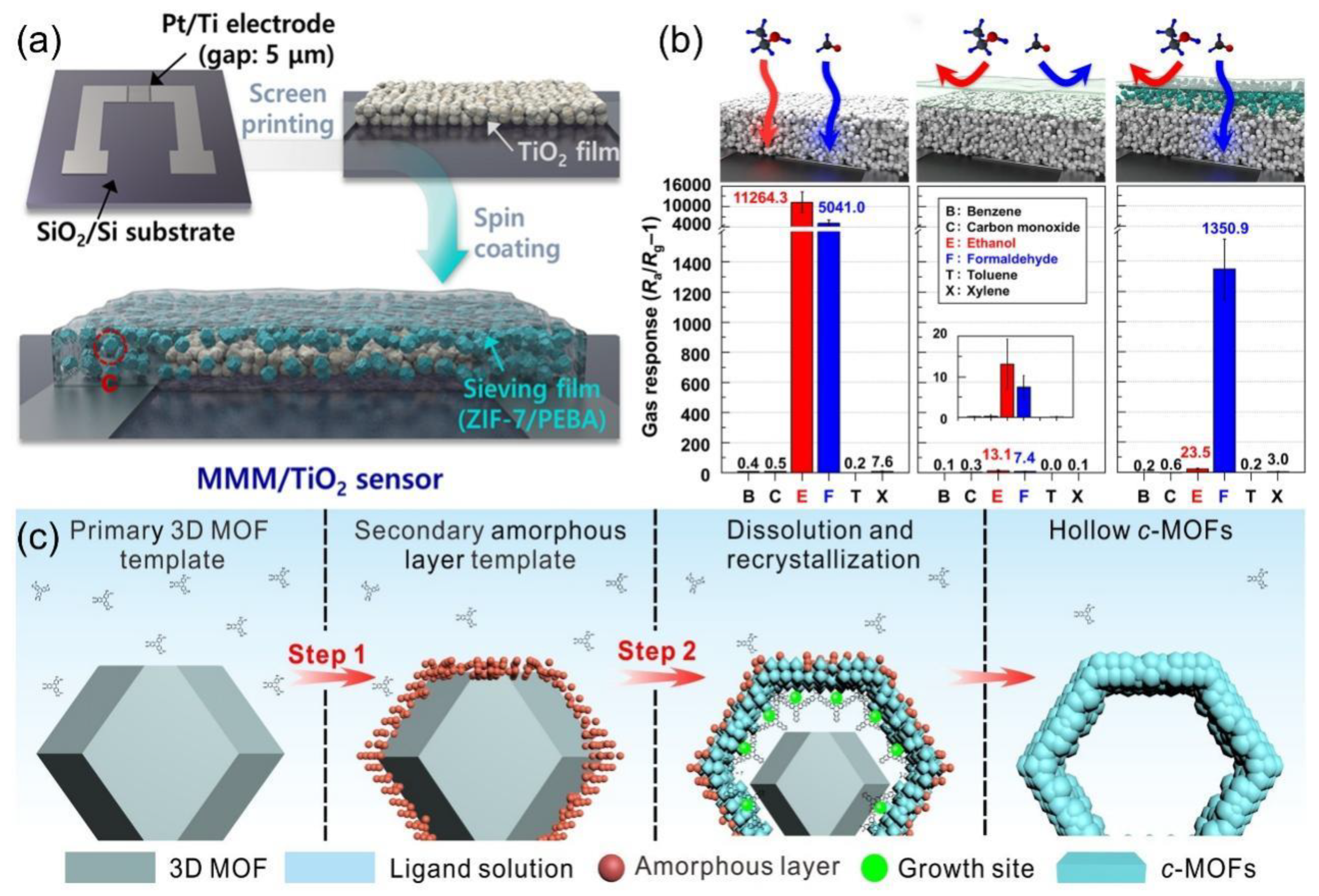 Nanomaterials 15 01381 g009
