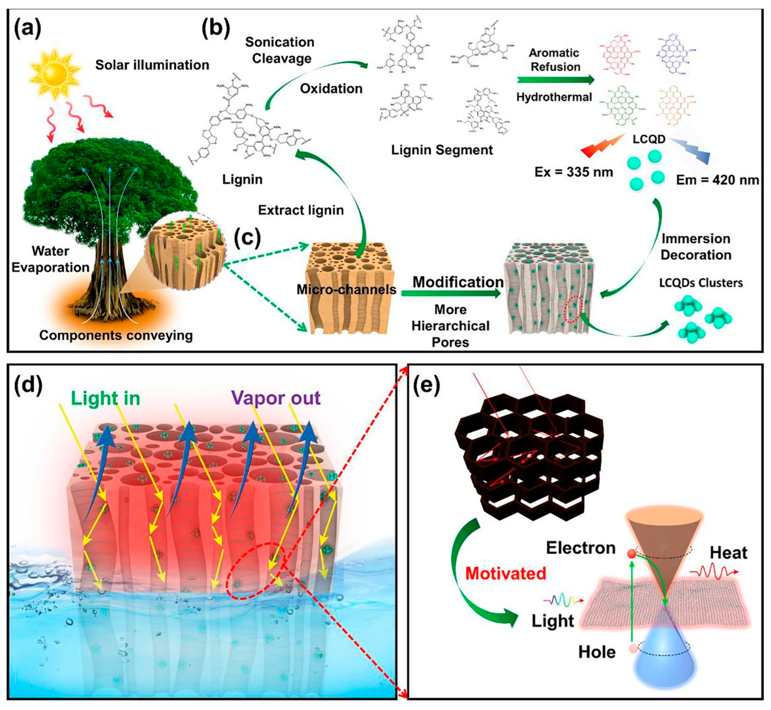 Nanomaterials 15 01388 g003