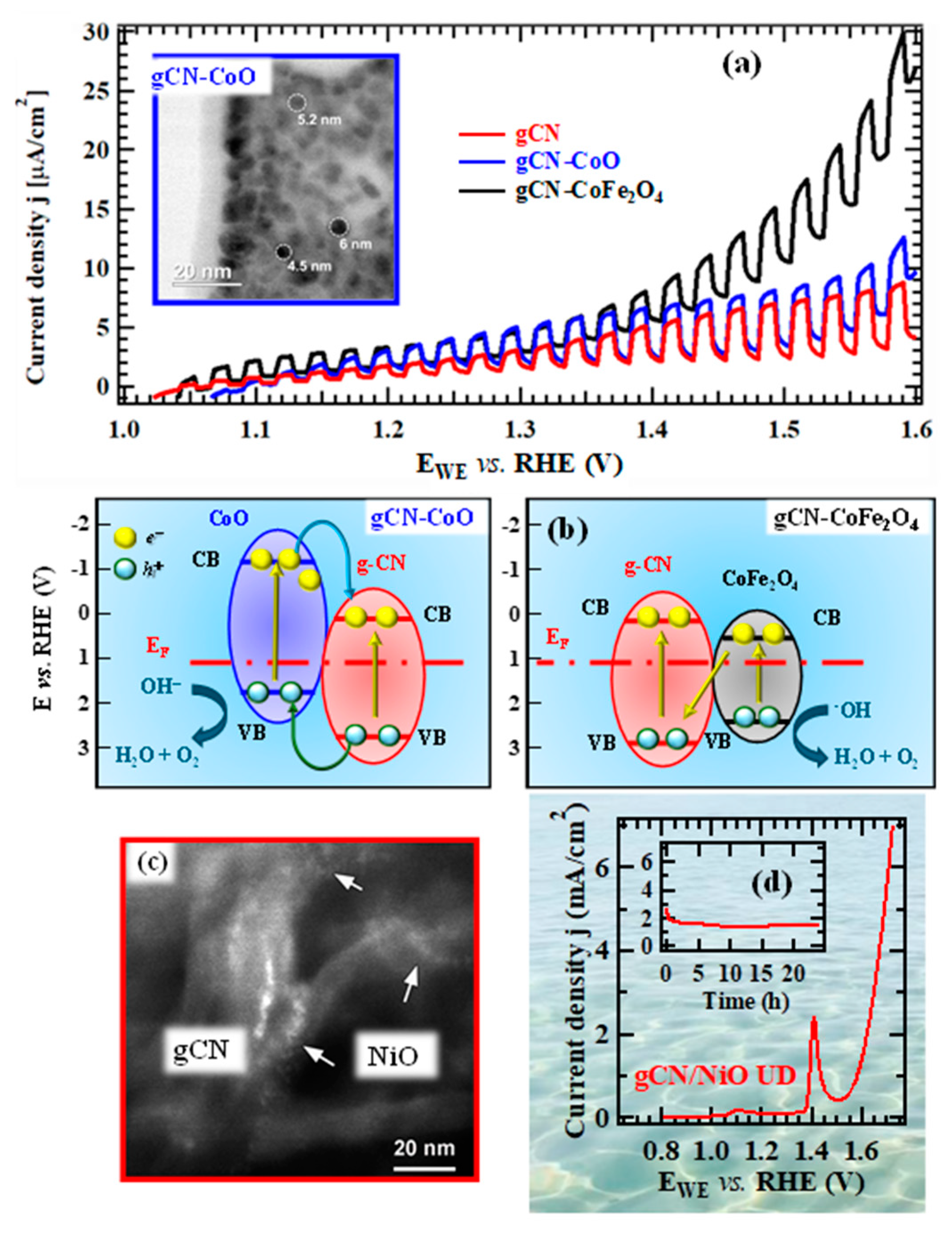 Nanomaterials 15 01388 g006