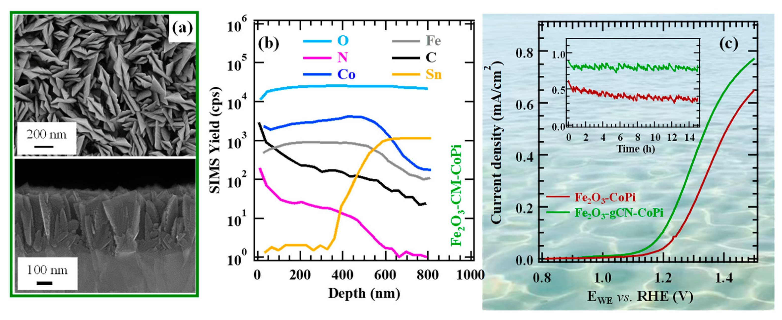 Nanomaterials 15 01388 g007