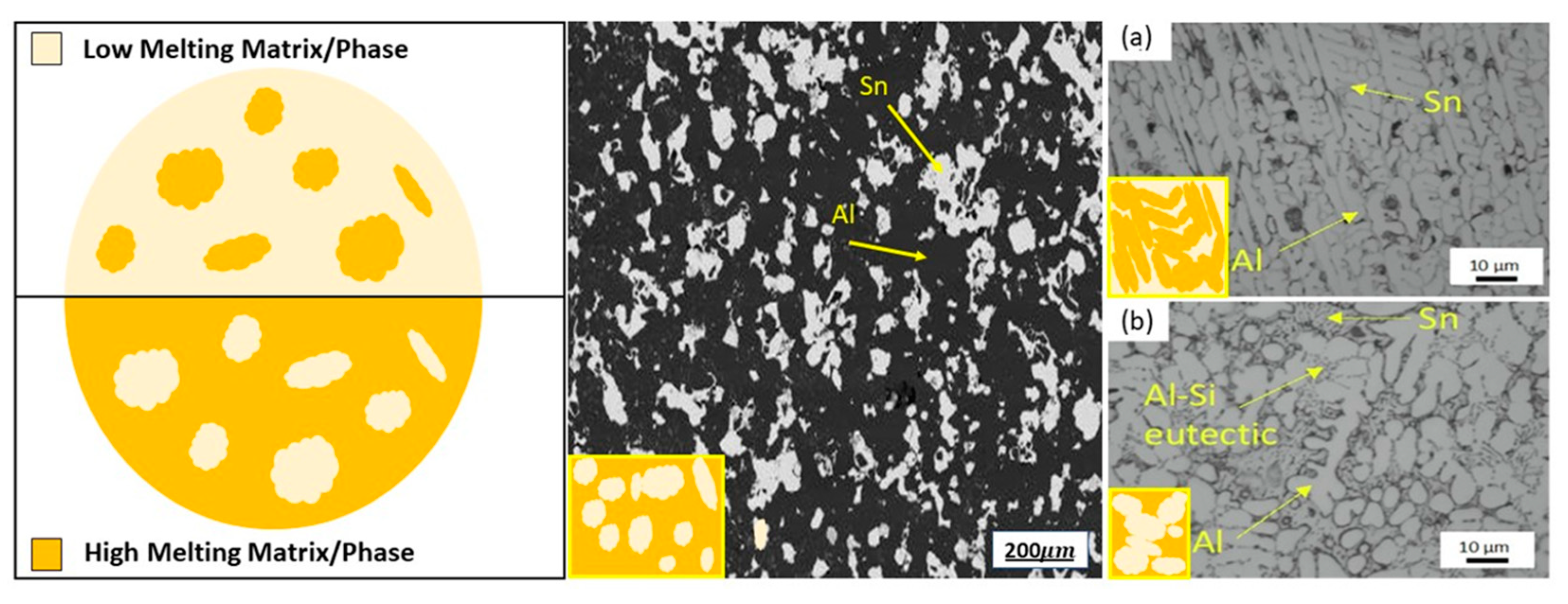 Nanomaterials 15 01388 g010