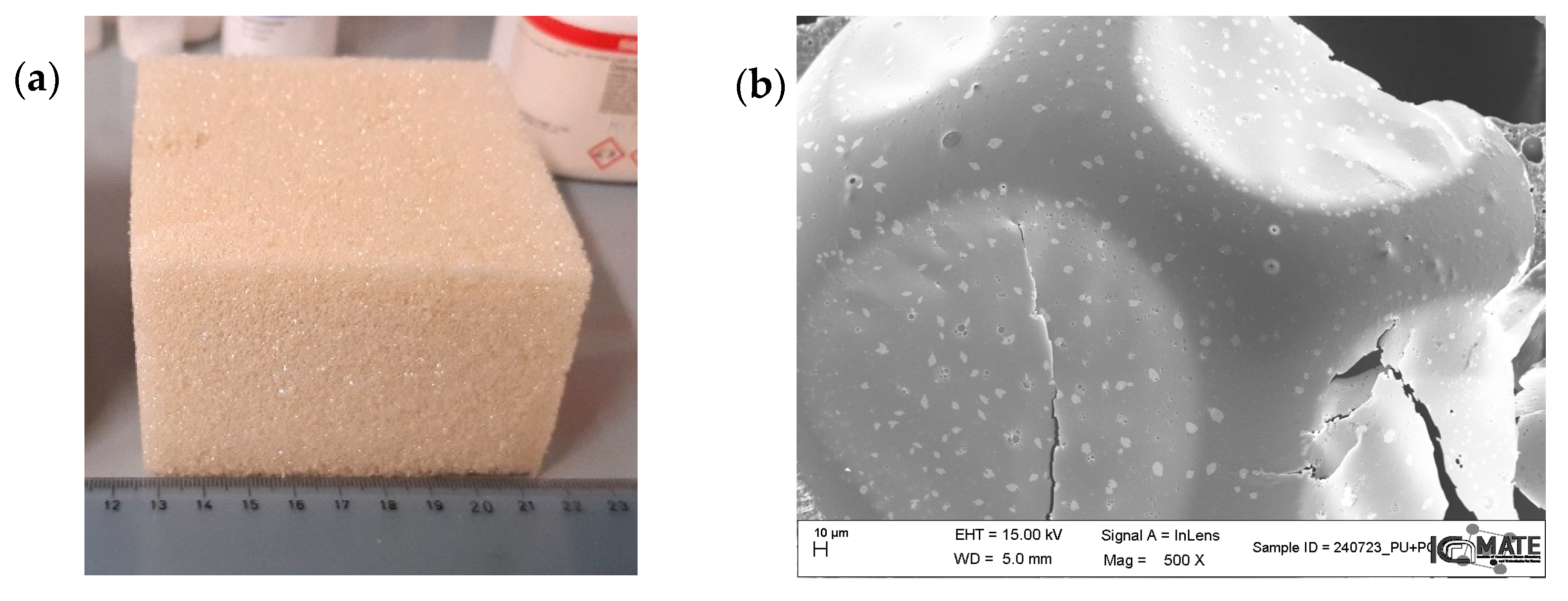 Nanomaterials 15 01388 g015
