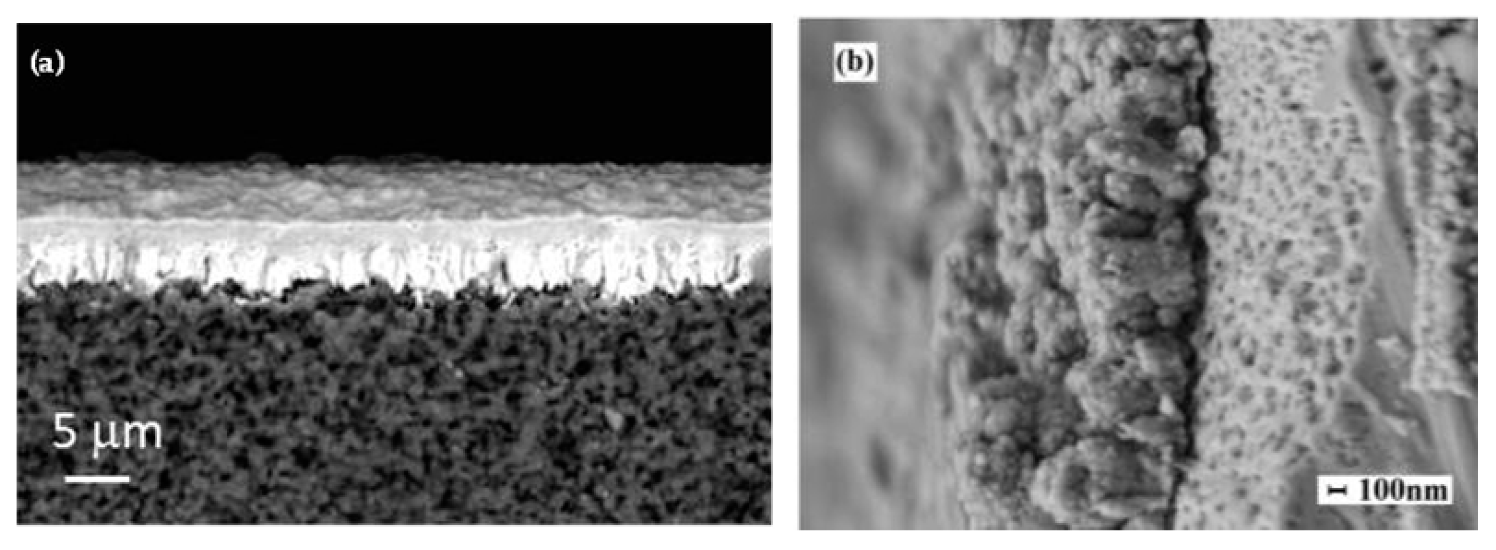 Nanomaterials 15 01388 g017