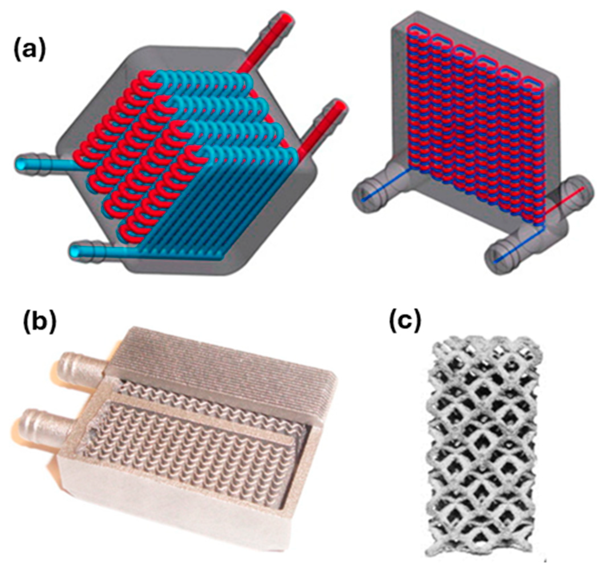 Nanomaterials 15 01388 g021