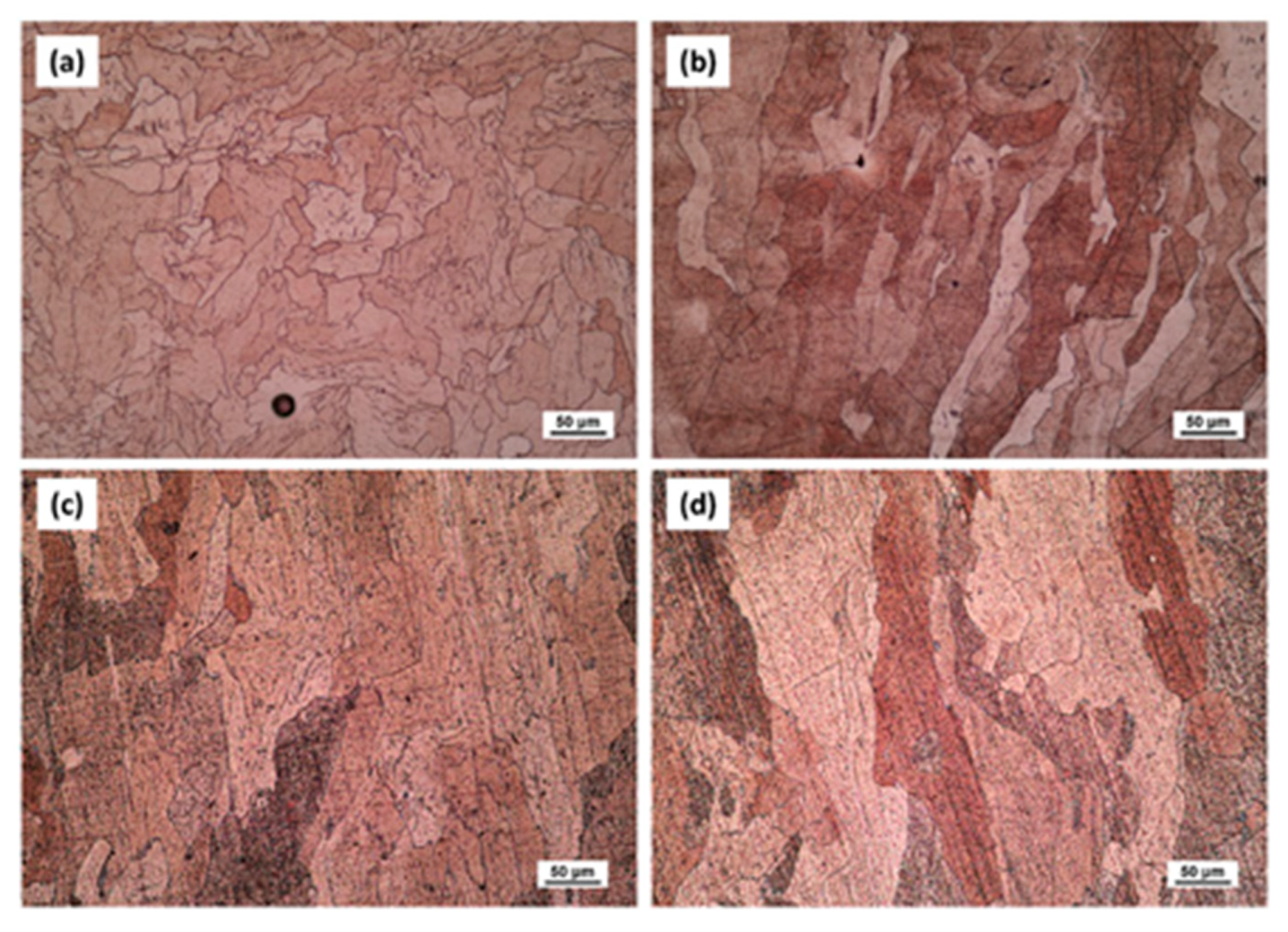 Nanomaterials 15 01388 g023