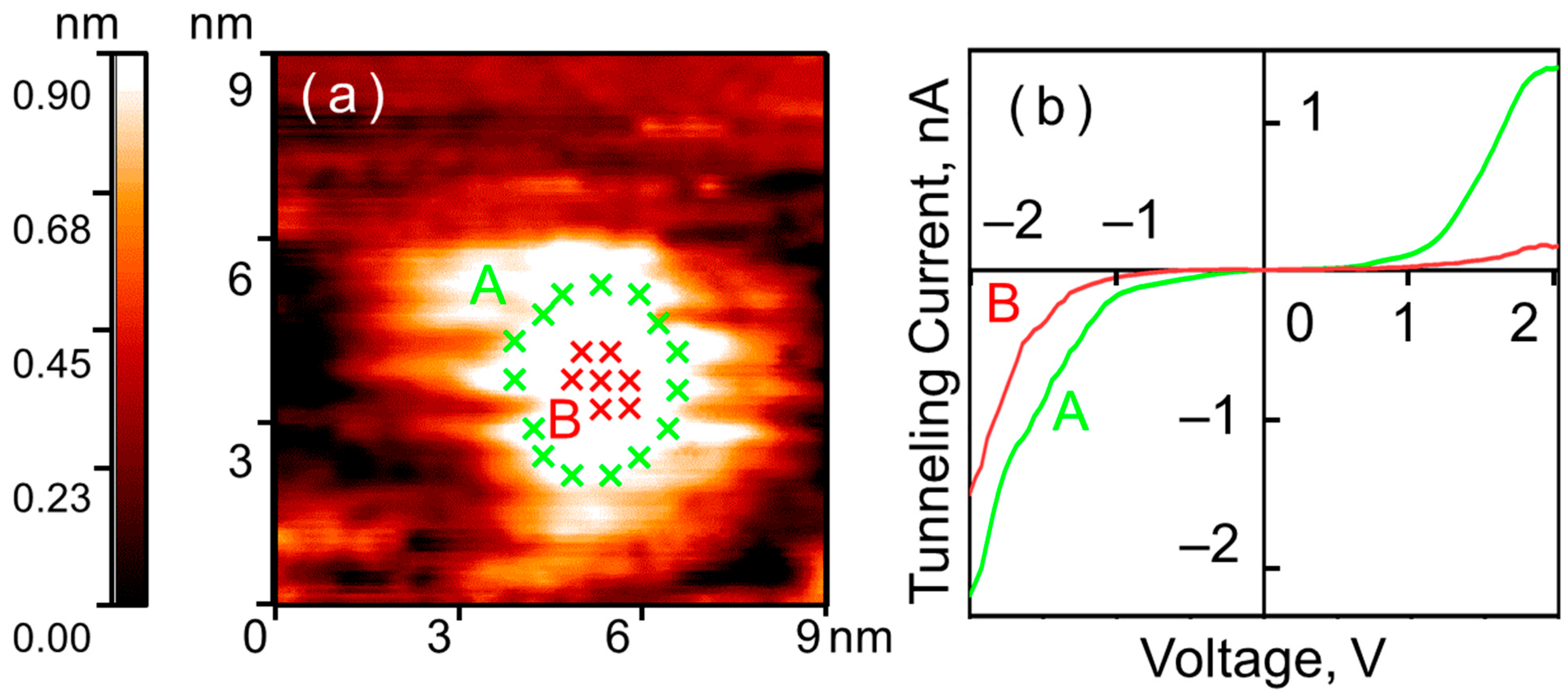 Nanomaterials 15 01390 g002