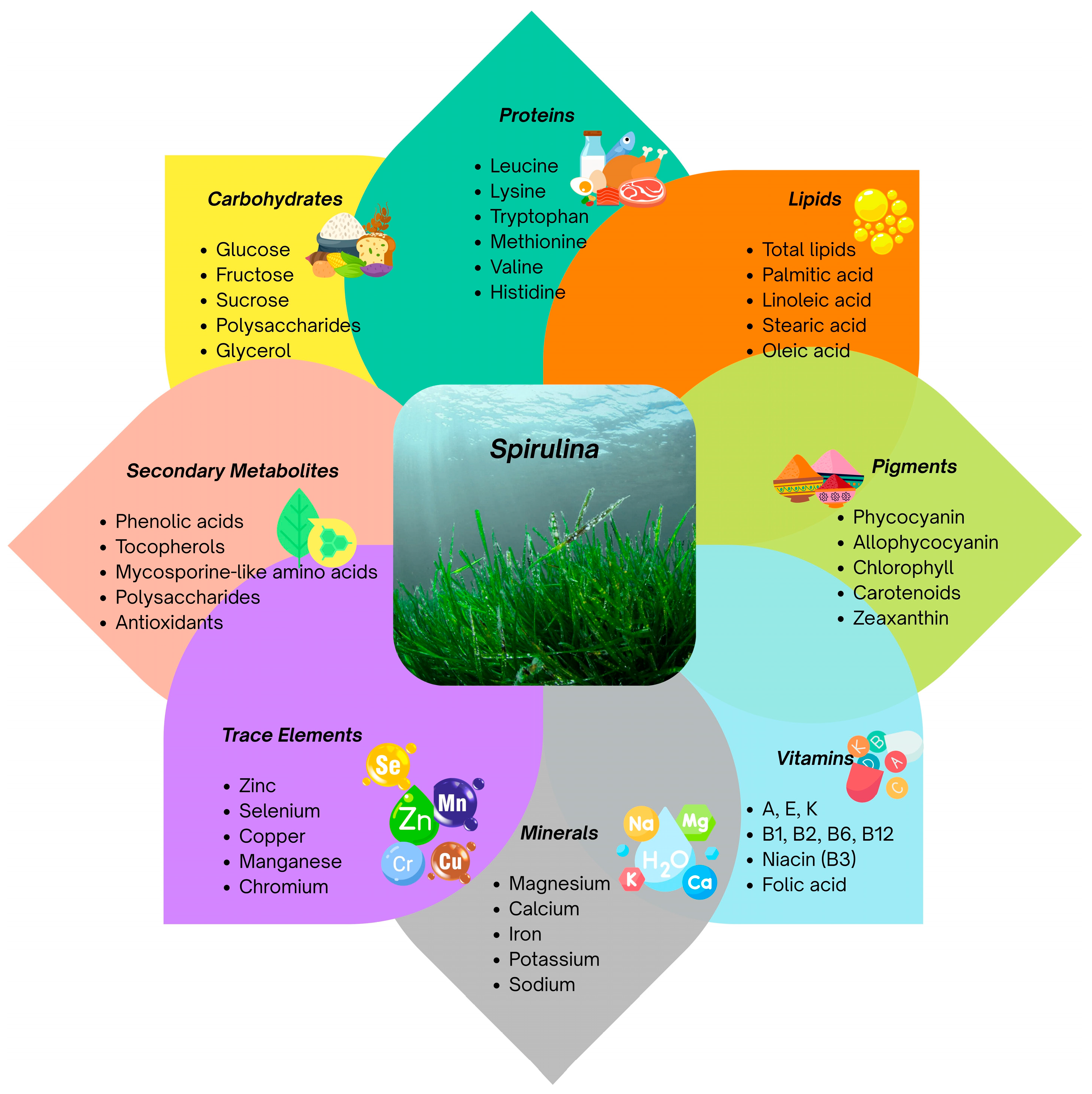 Nanomaterials 15 01392 g002 Nanomaterials 15 01392 g002