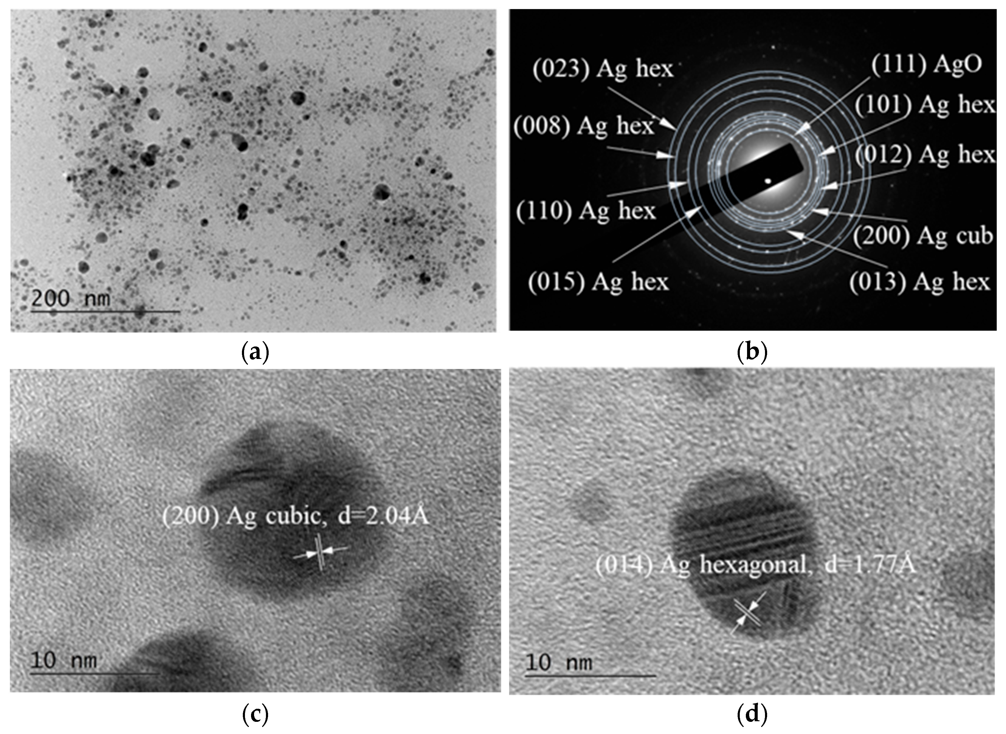 Nanomaterials 15 01392 g004 Nanomaterials 15 01392 g004