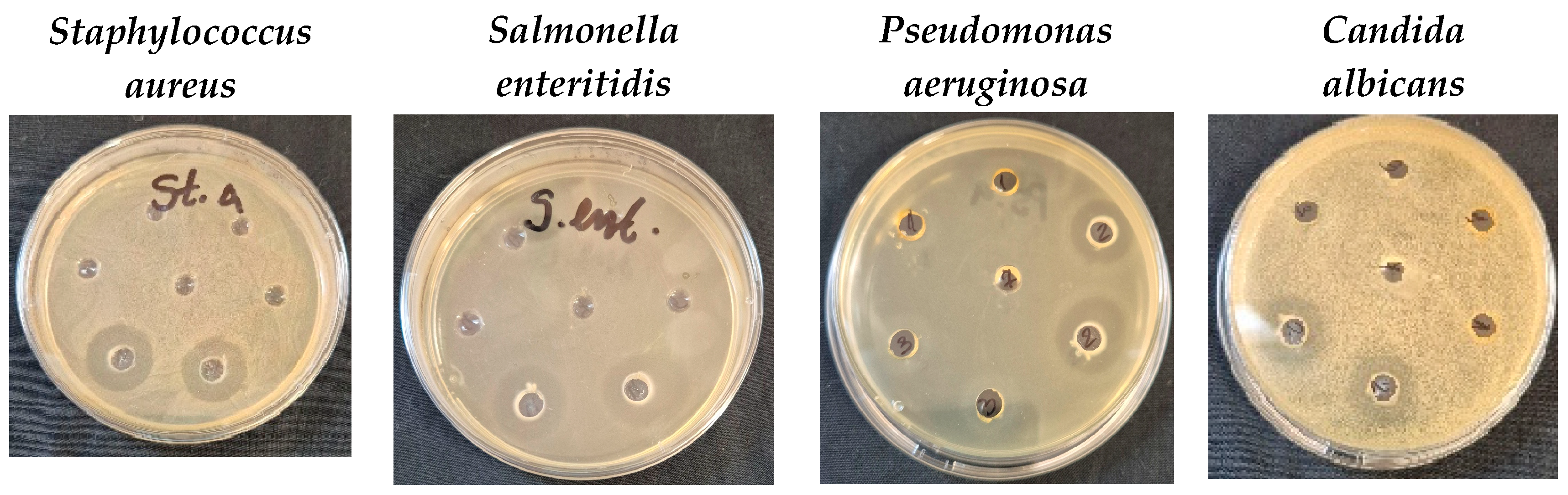 Nanomaterials 15 01392 g011 Nanomaterials 15 01392 g011