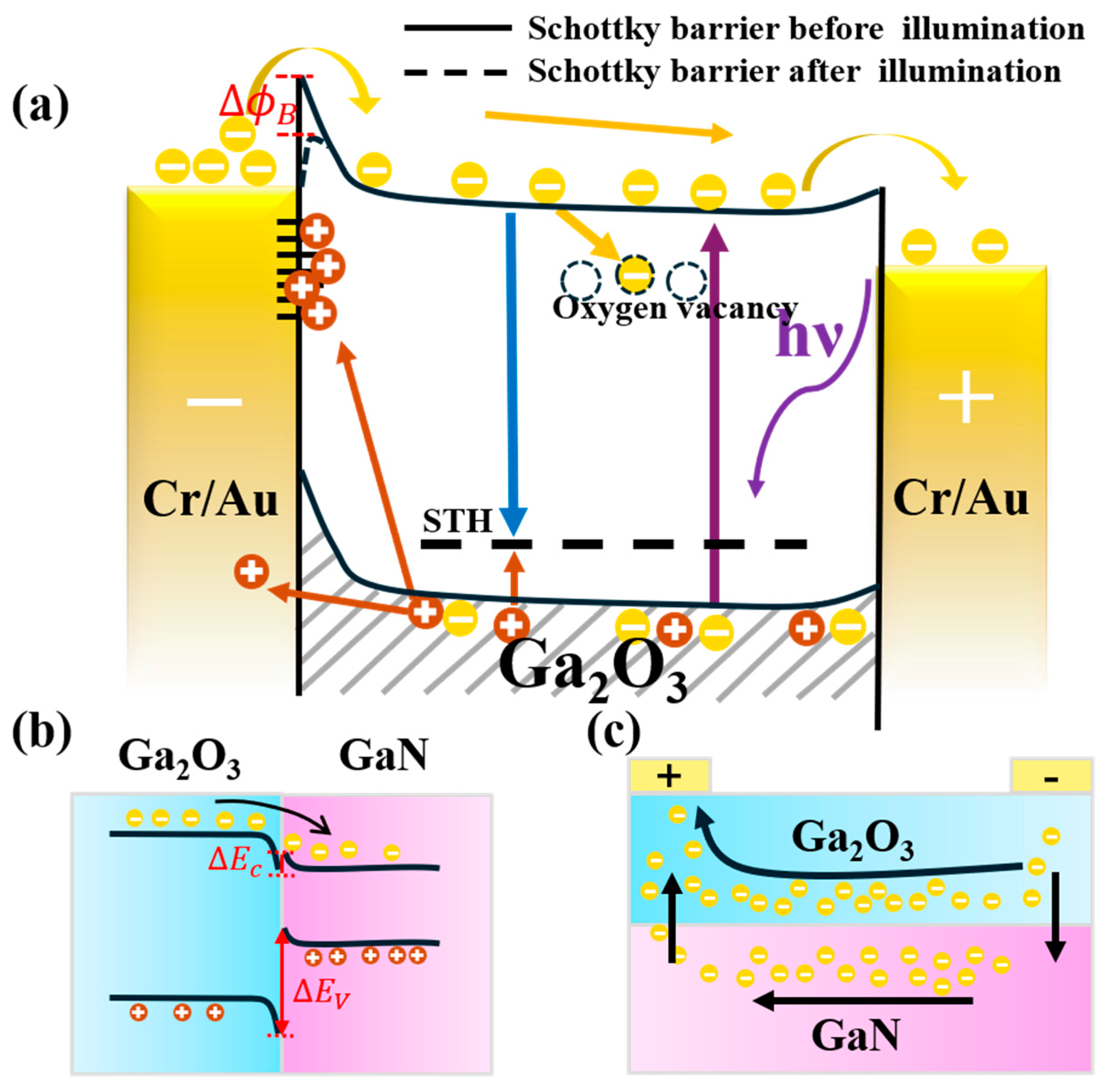 Nanomaterials 15 01397 g010 Nanomaterials 15 01397 g010