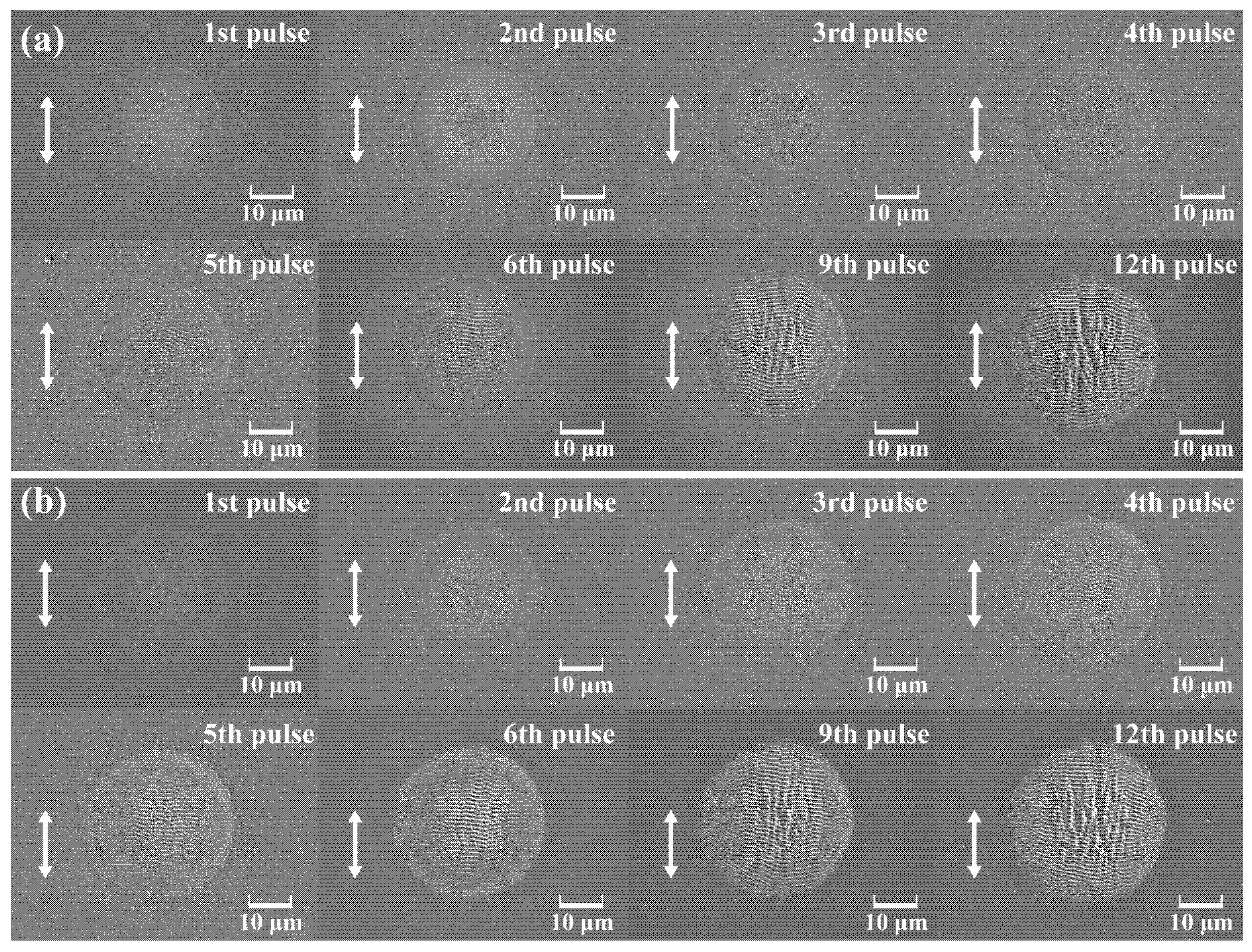 Nanomaterials 15 01398 g003