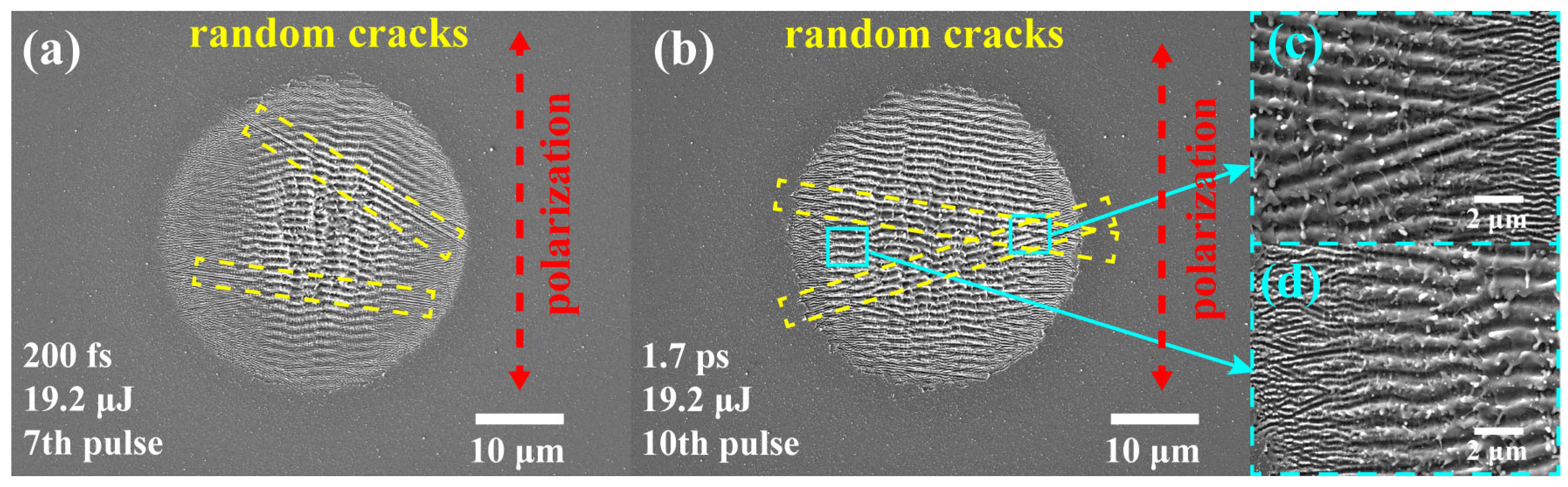 Nanomaterials 15 01398 g004