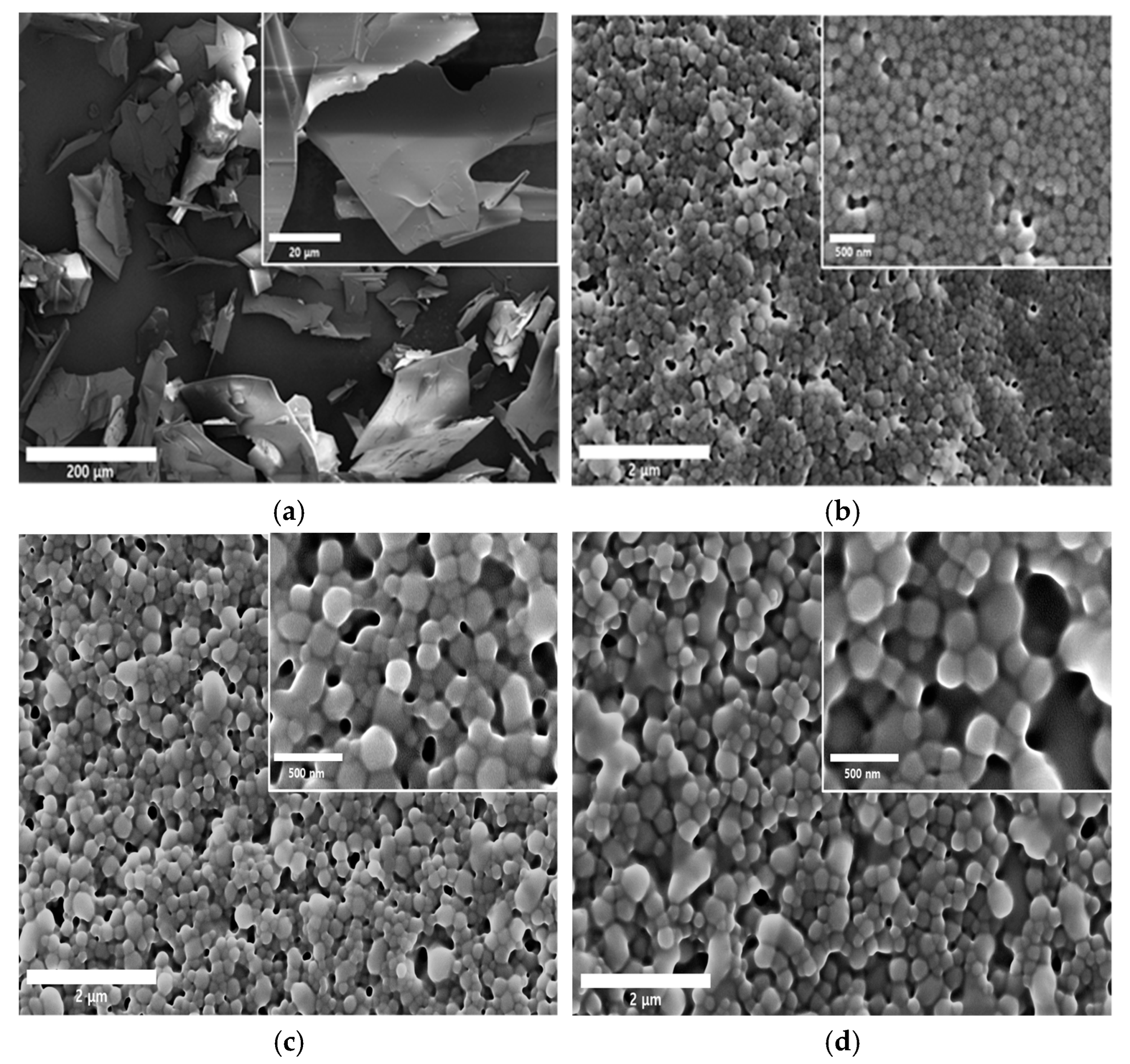 Nanomaterials 15 01399 g006a Nanomaterials 15 01399 g006a