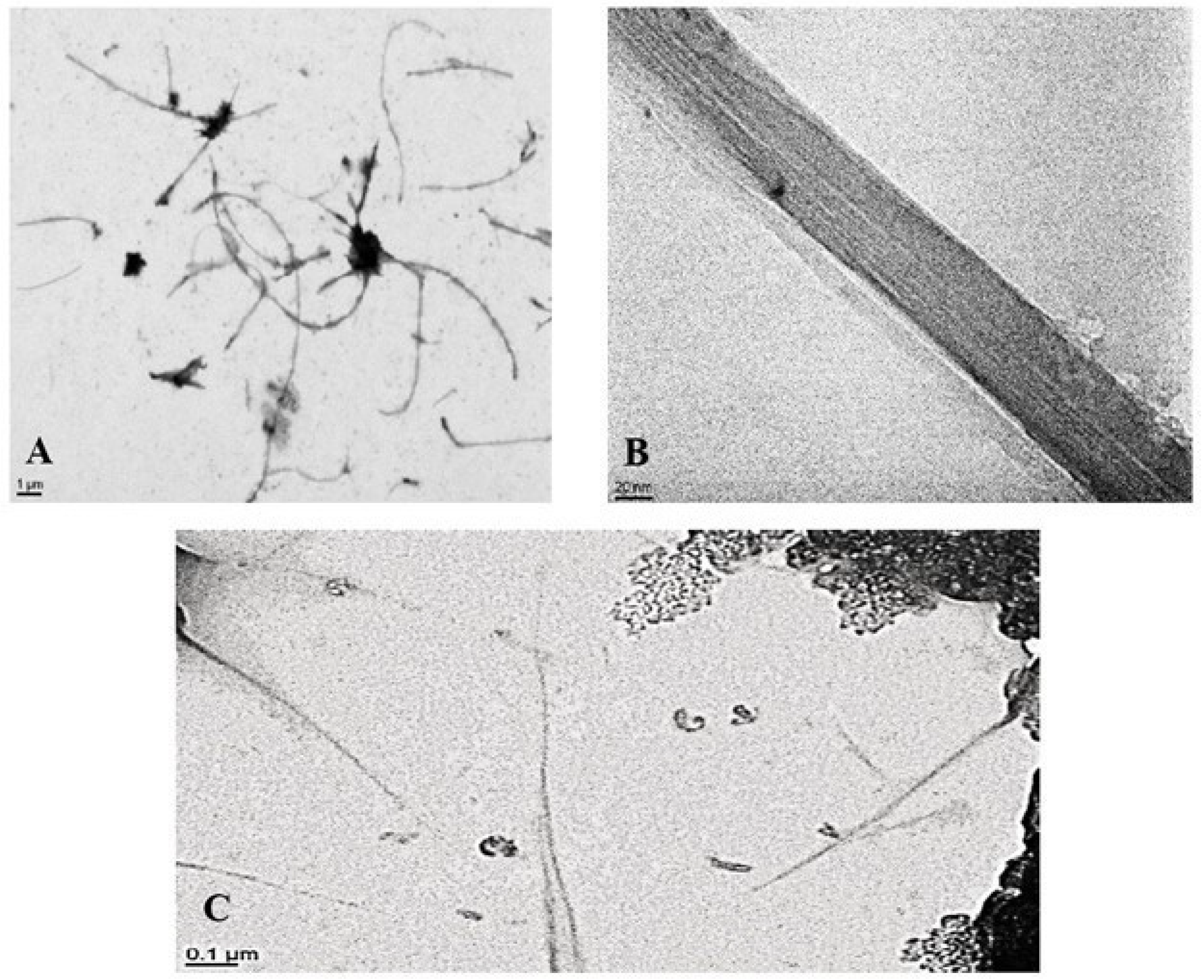 Nanomaterials 15 01401 g001 Nanomaterials 15 01401 g001