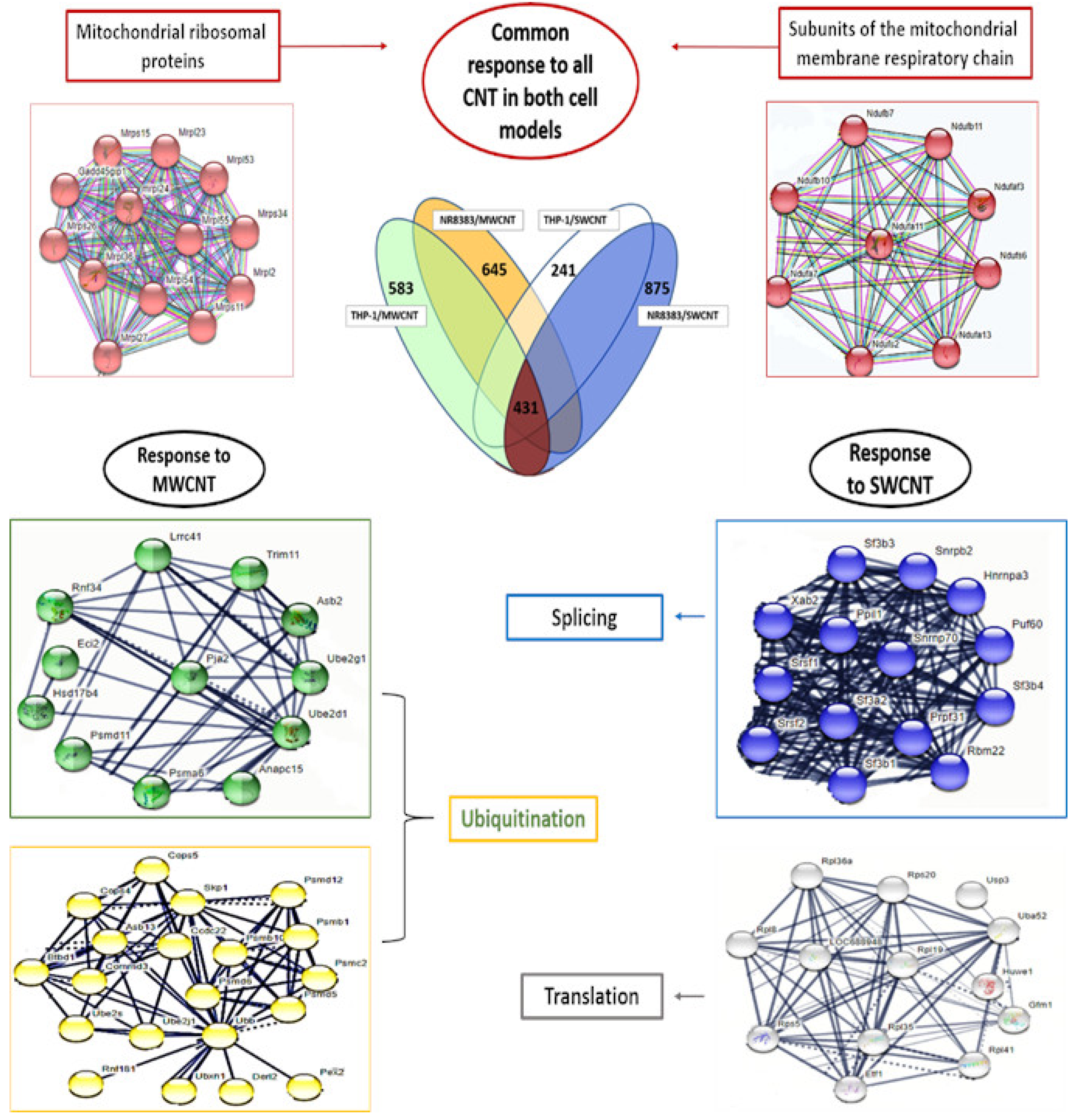 Nanomaterials 15 01401 g004 Nanomaterials 15 01401 g004
