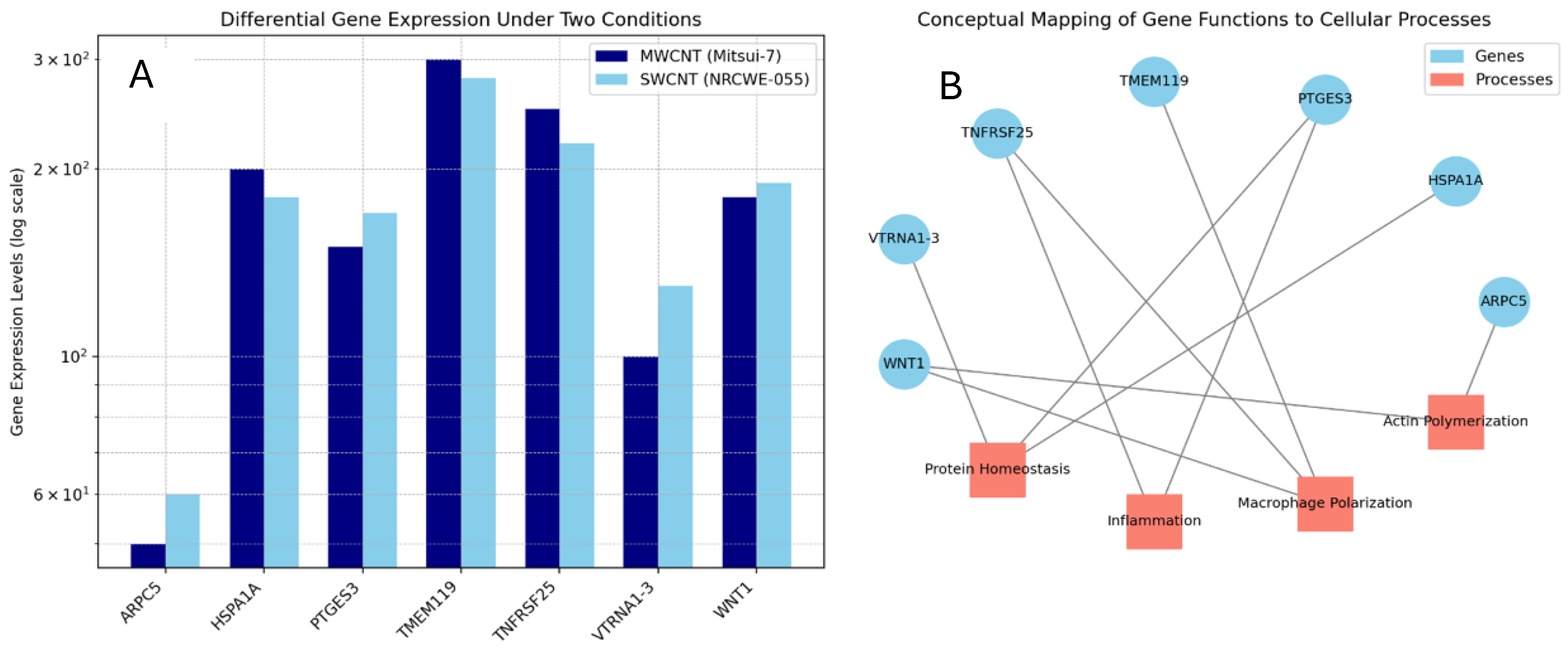 Nanomaterials 15 01401 g005 Nanomaterials 15 01401 g005