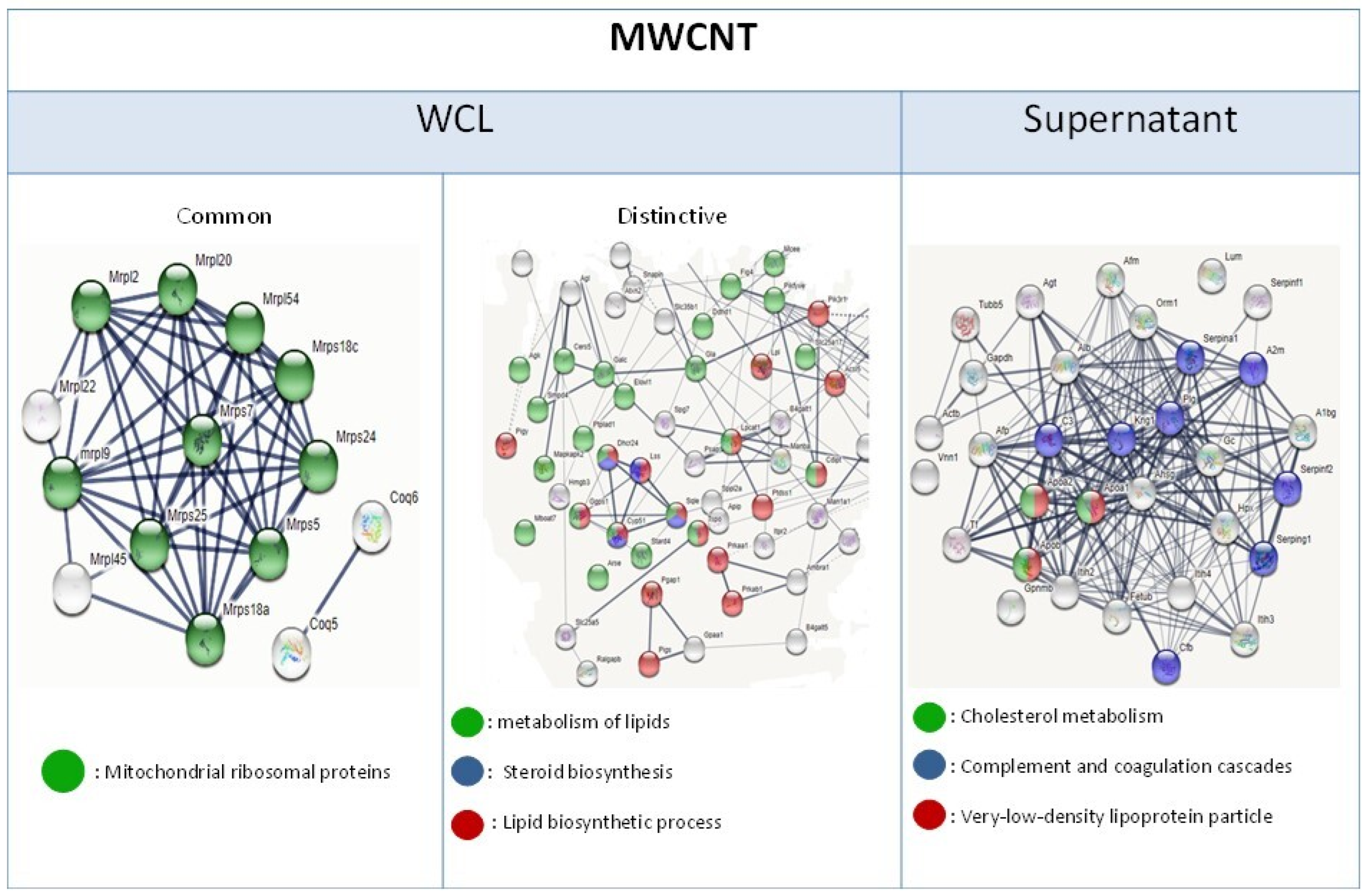 Nanomaterials 15 01401 g007 Nanomaterials 15 01401 g007