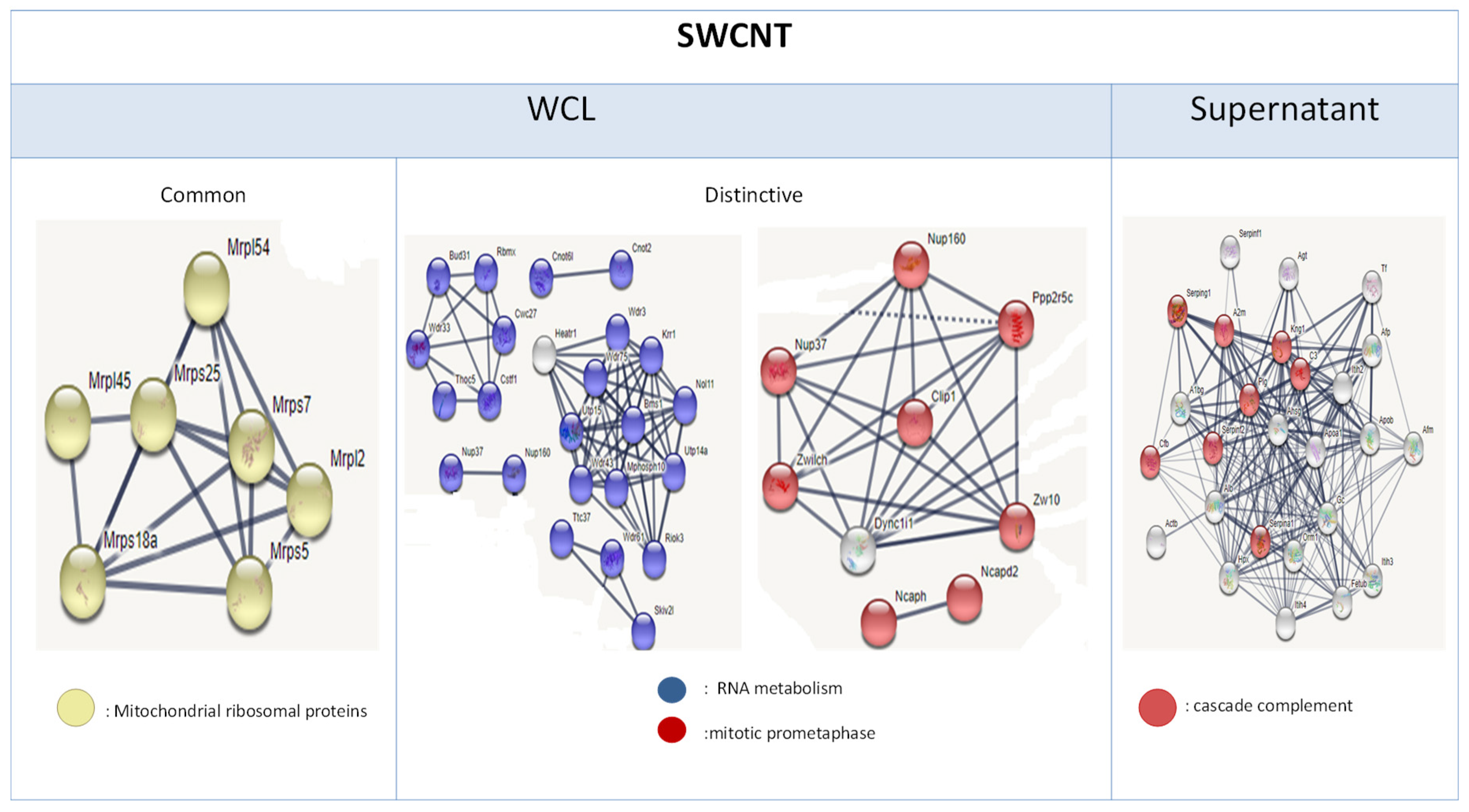 Nanomaterials 15 01401 g008 Nanomaterials 15 01401 g008