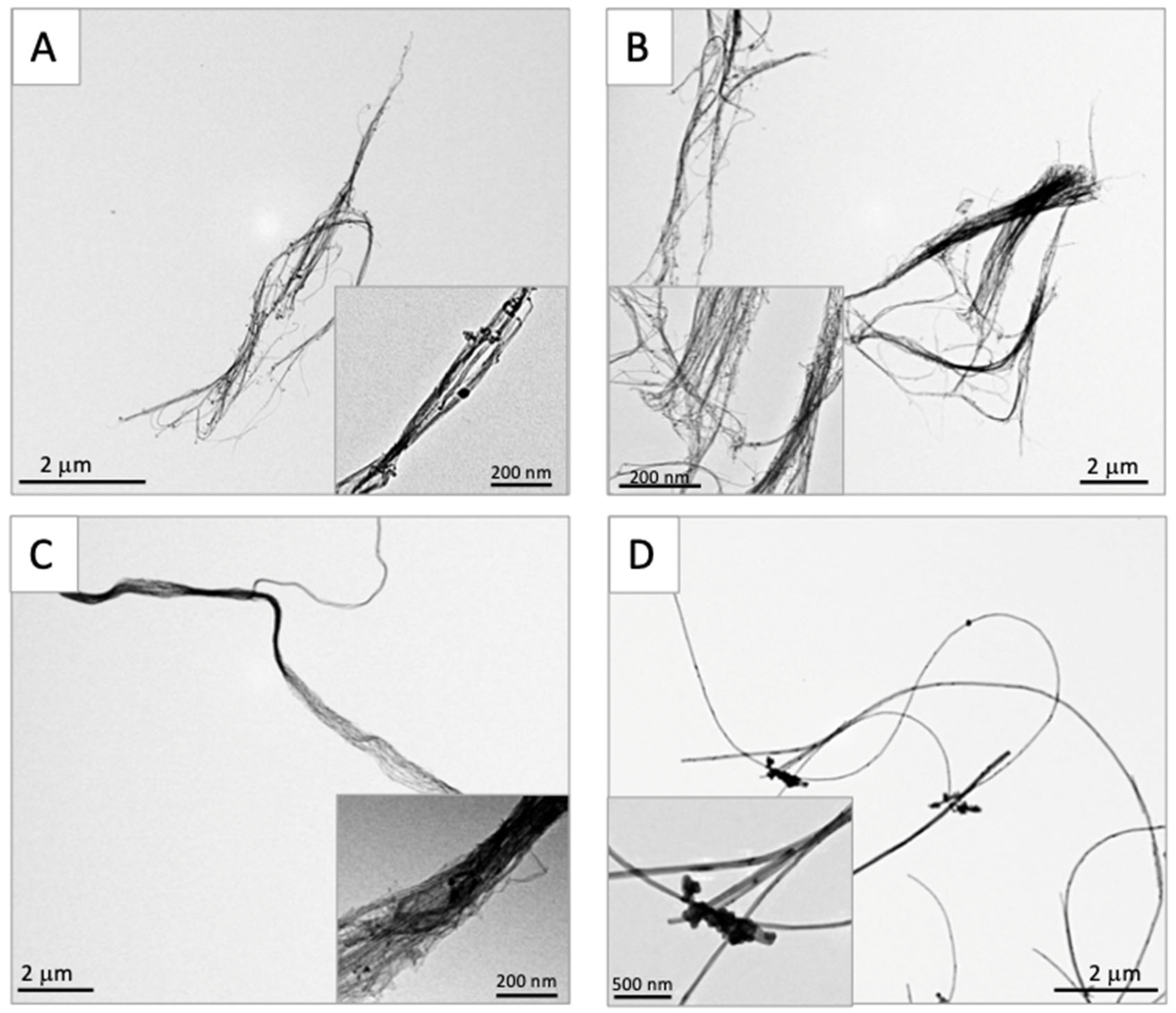 Nanomaterials 15 01402 g001 Nanomaterials 15 01402 g001