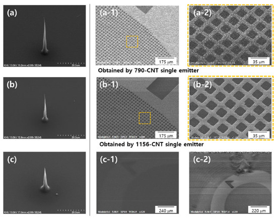 Research Progress in Carbon Nanotube-Based Cold Cathode