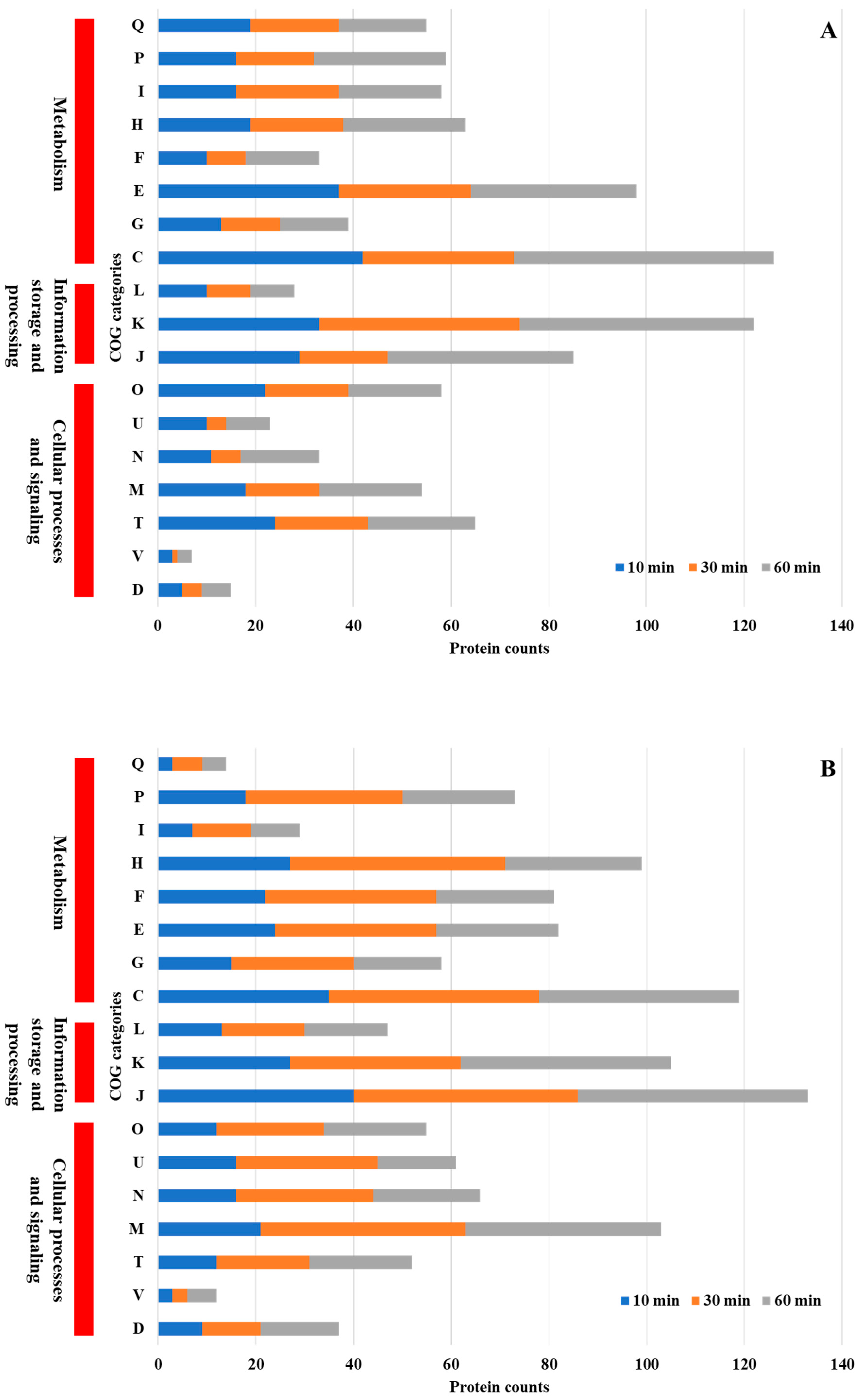 Nanomaterials 15 01404 g004