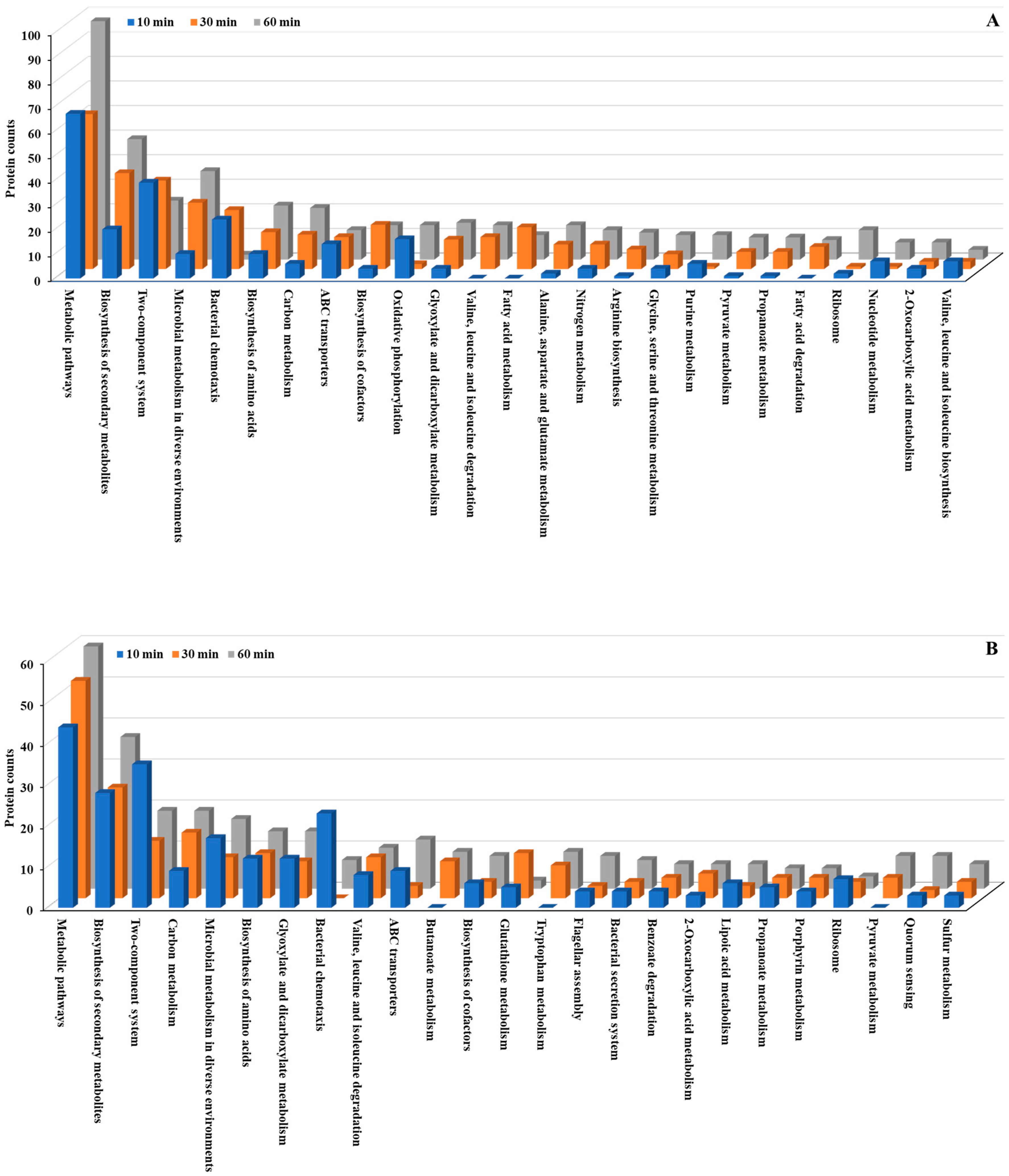Nanomaterials 15 01404 g005