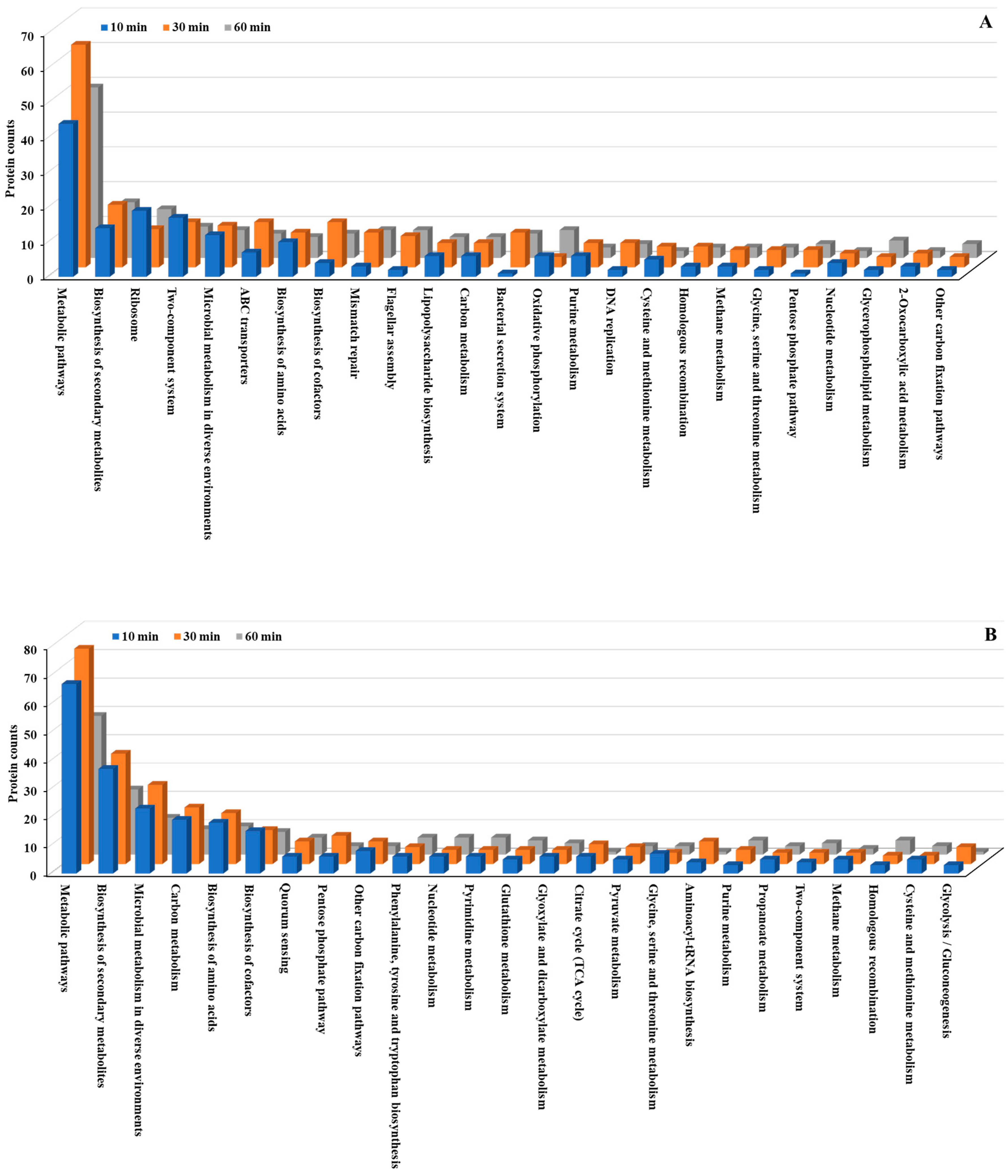 Nanomaterials 15 01404 g006