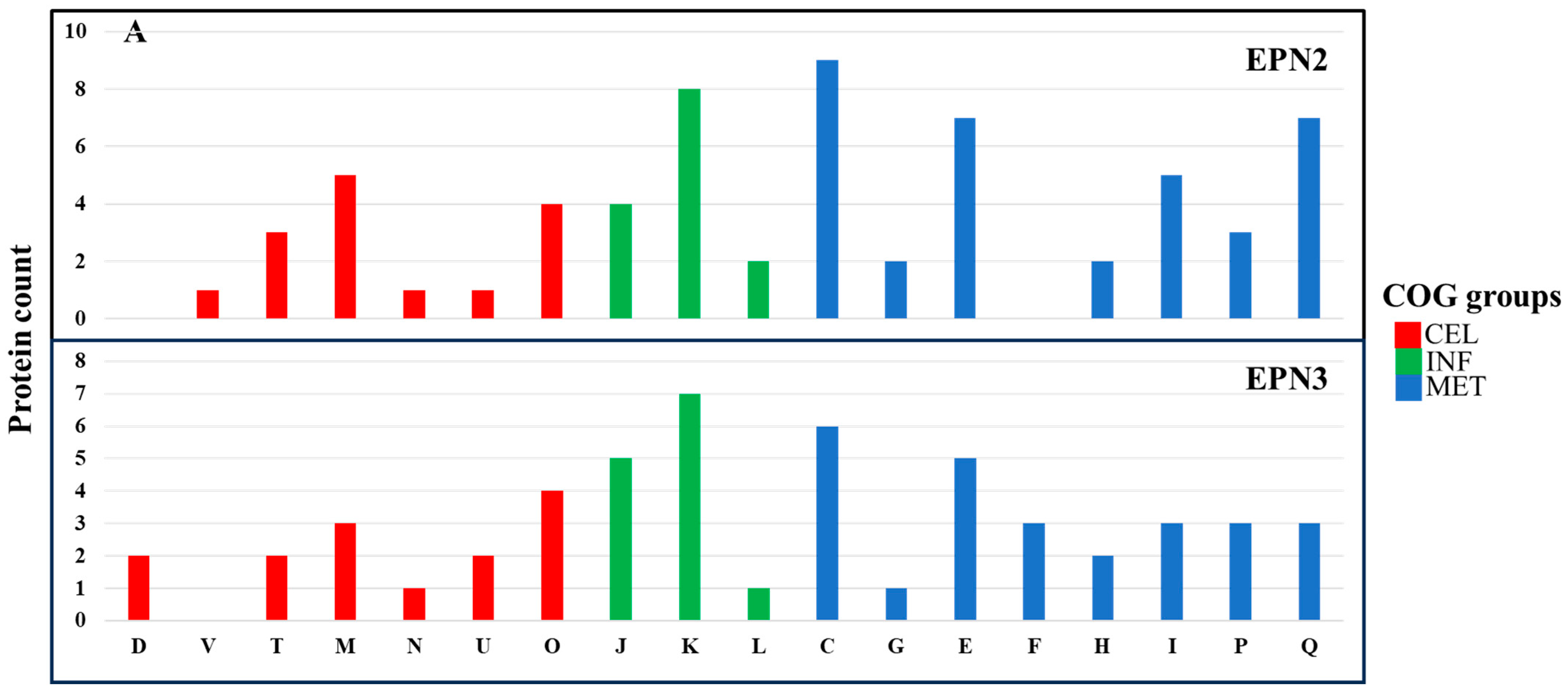 Nanomaterials 15 01404 g007a