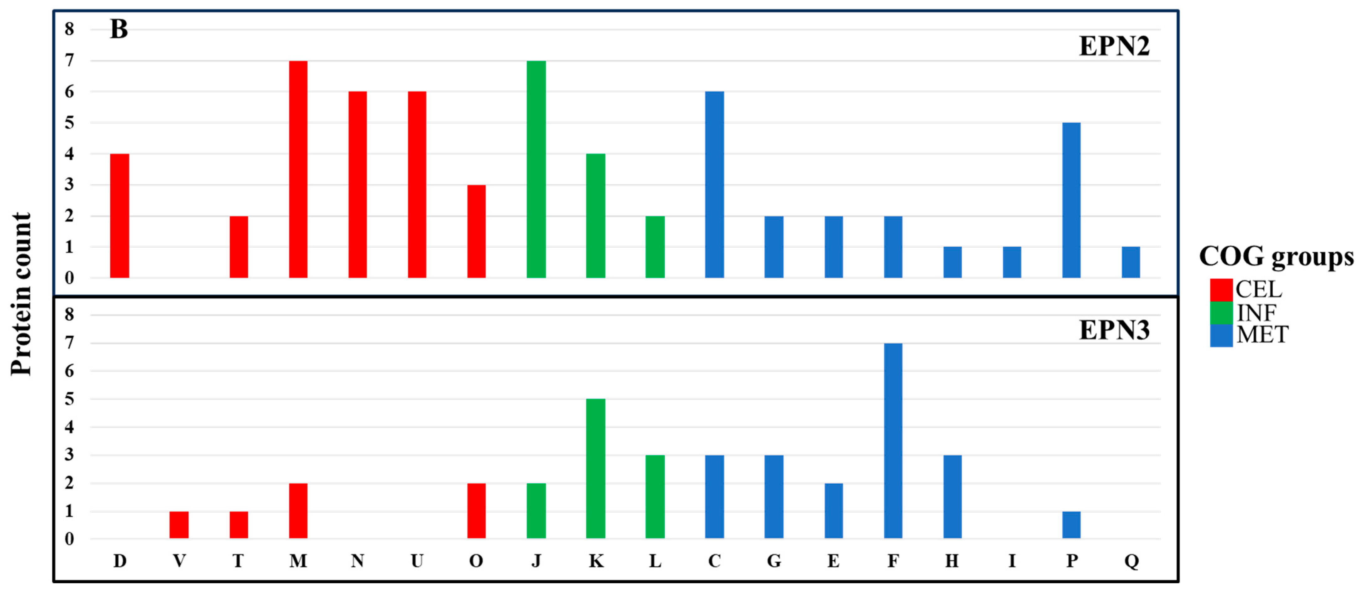 Nanomaterials 15 01404 g007b