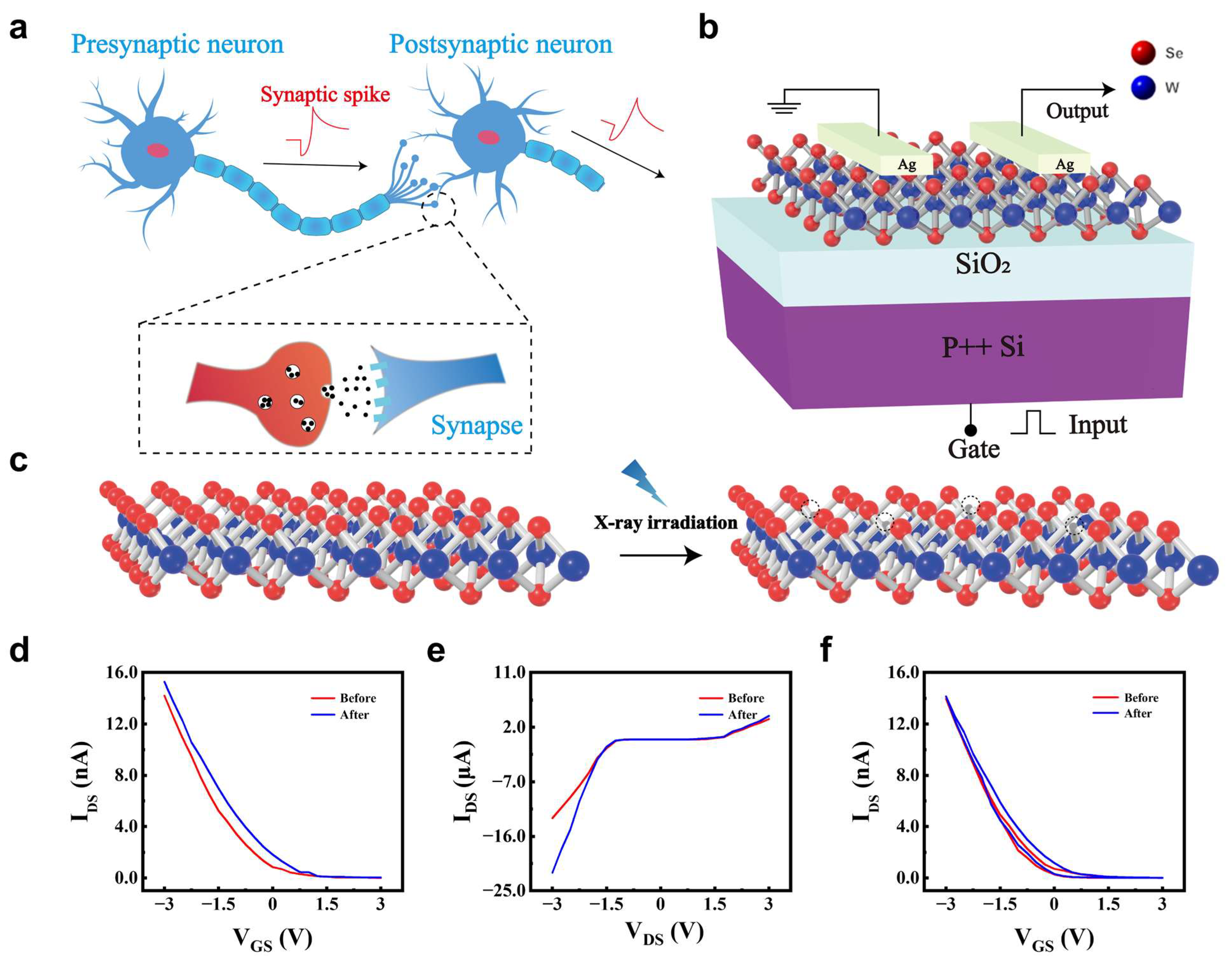 Nanomaterials 15 01408 g001 Nanomaterials 15 01408 g001