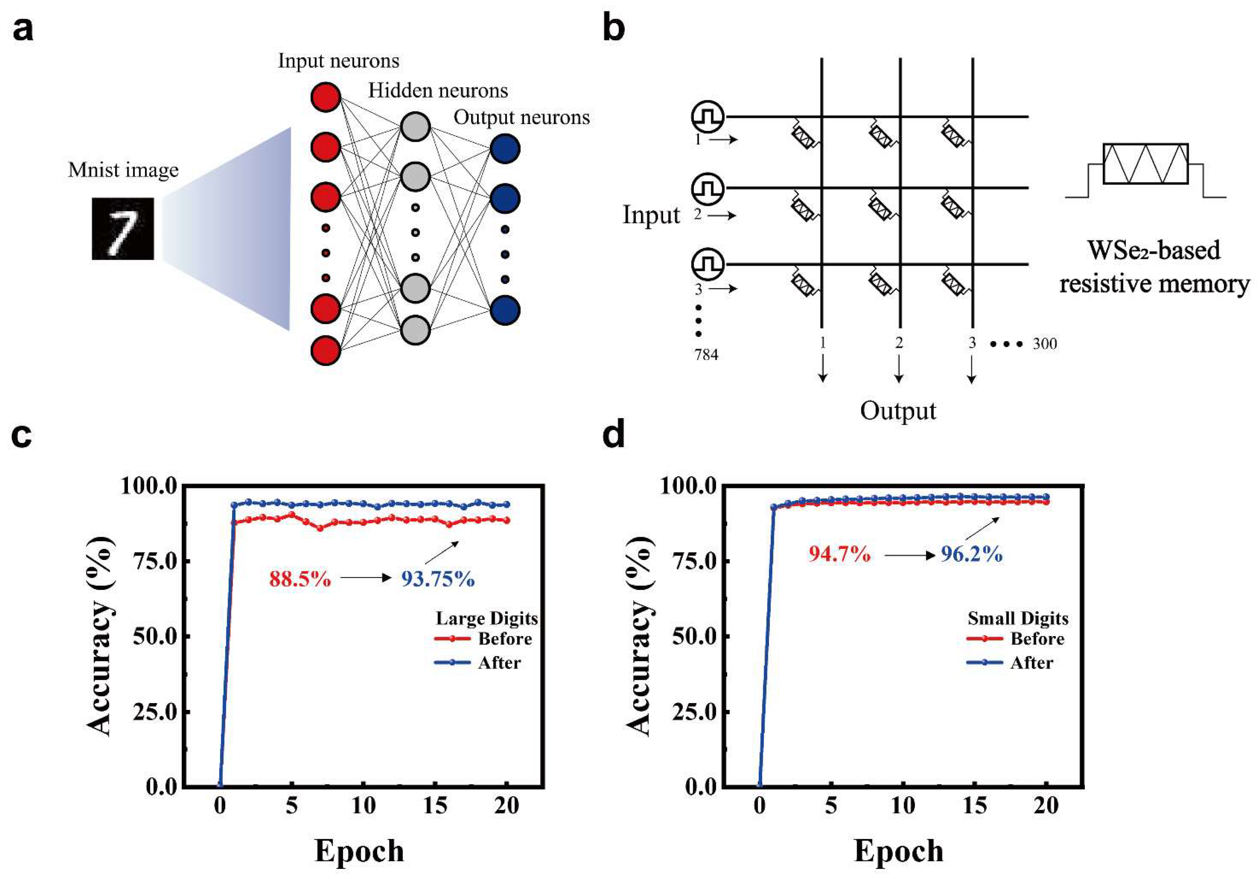 Nanomaterials 15 01408 g005 Nanomaterials 15 01408 g005