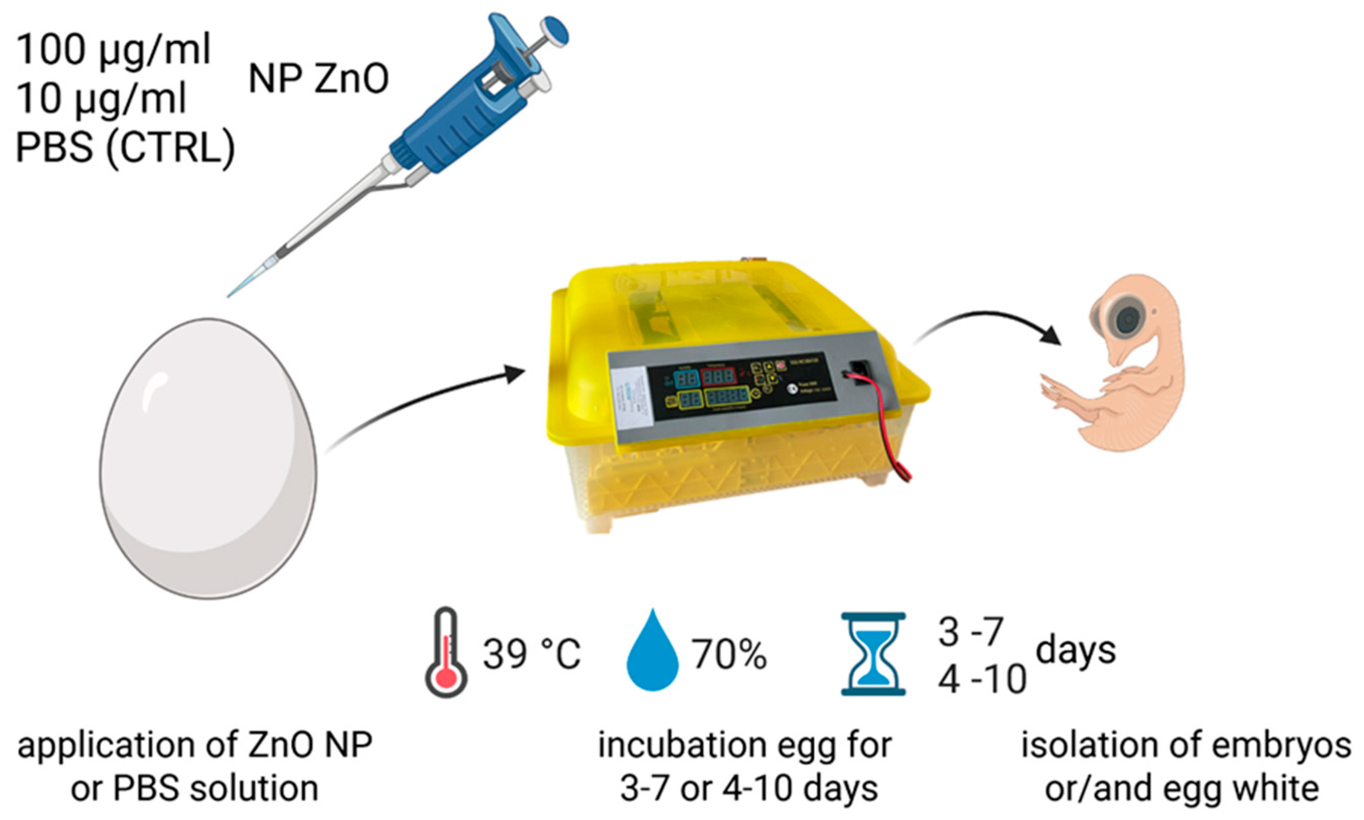 Nanomaterials 15 01412 g001 Nanomaterials 15 01412 g001