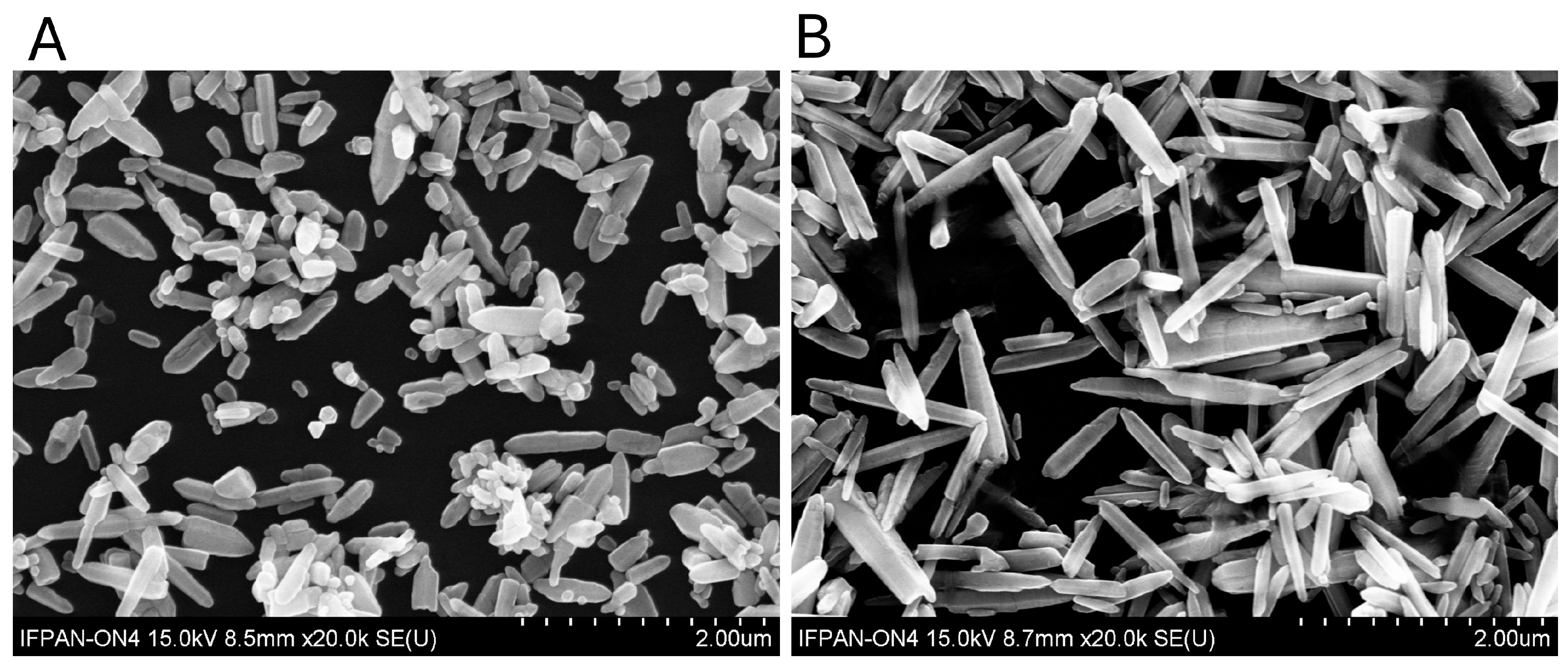 Nanomaterials 15 01412 g004 Nanomaterials 15 01412 g004