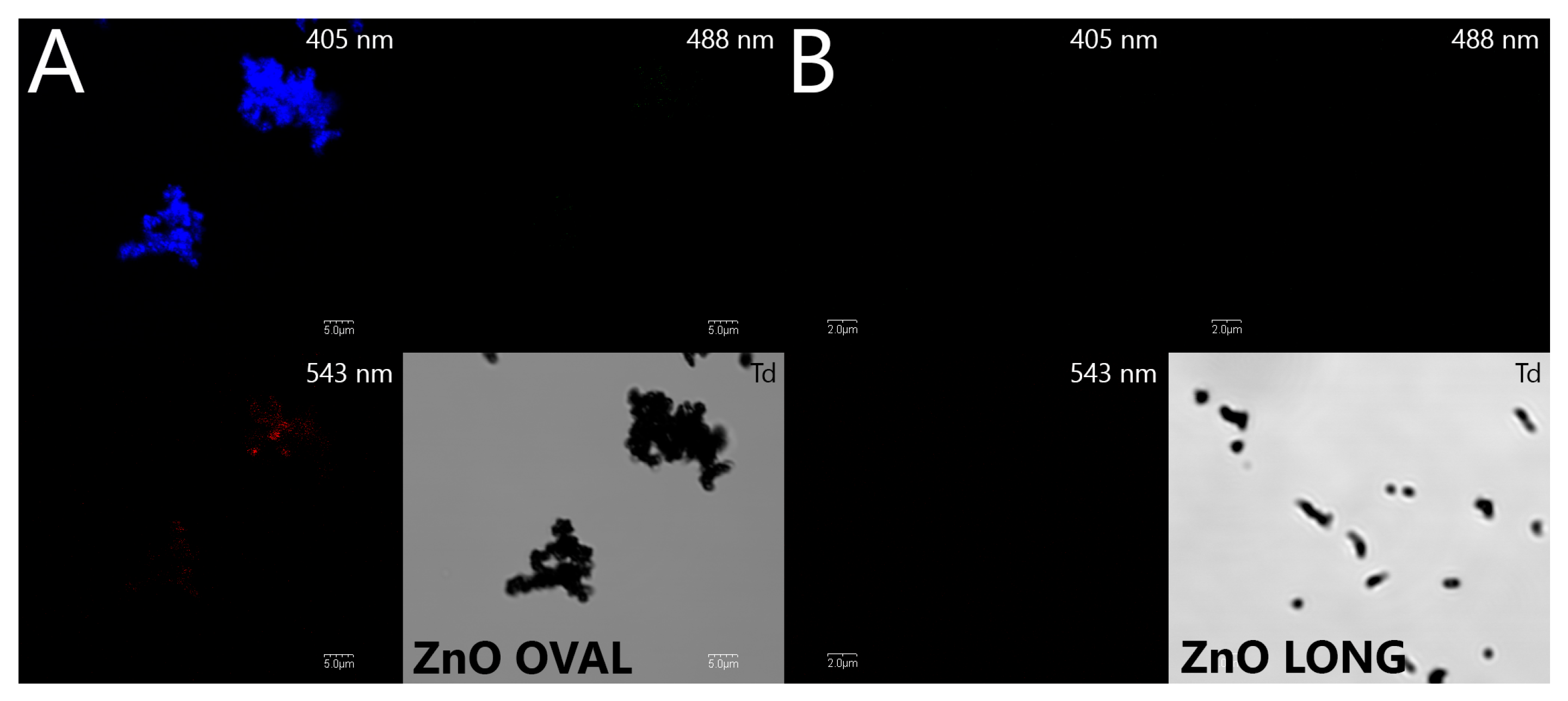 Nanomaterials 15 01412 g009 Nanomaterials 15 01412 g009