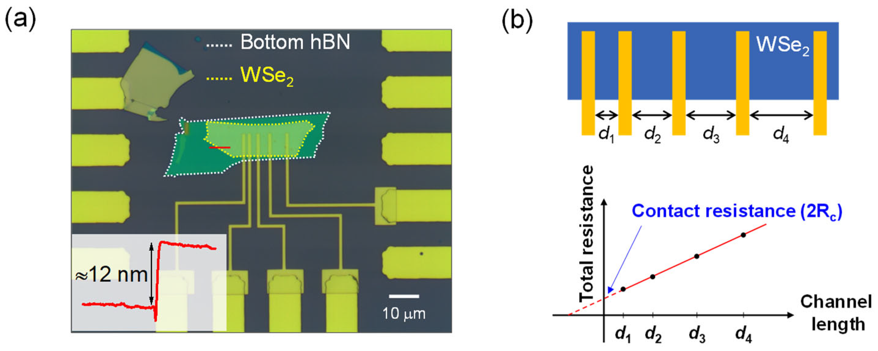 Nanomaterials 15 01413 g001 Nanomaterials 15 01413 g001