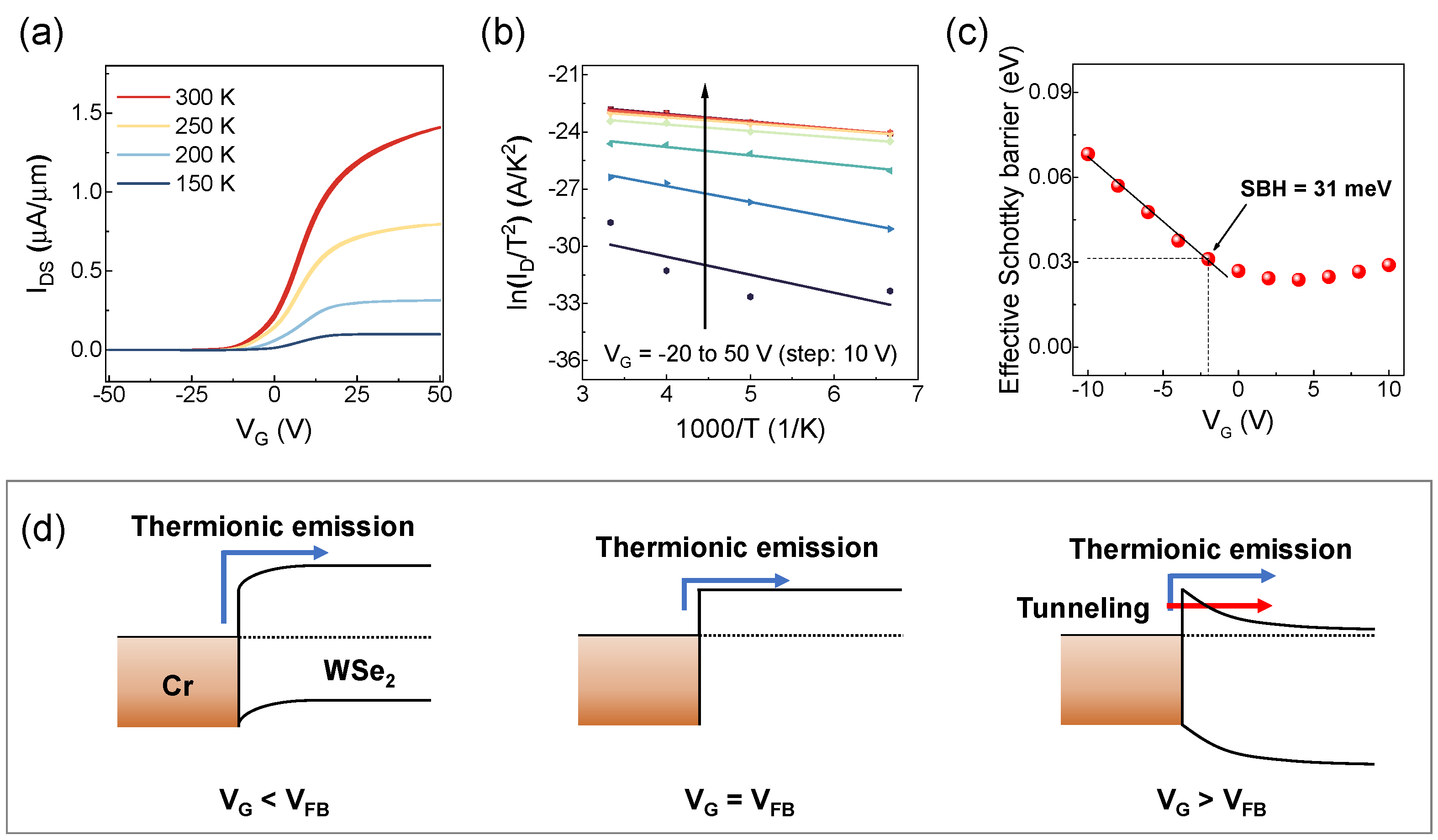 Nanomaterials 15 01413 g004 Nanomaterials 15 01413 g004