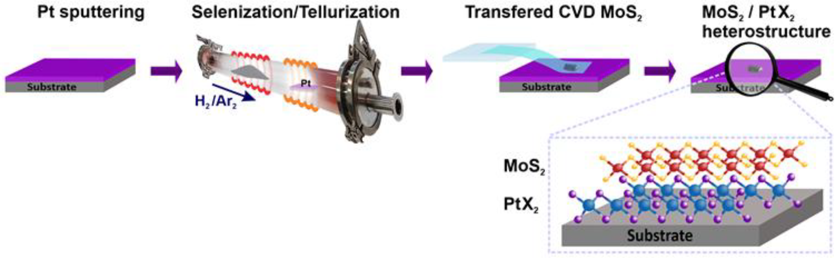 Nanomaterials 15 01415 g001