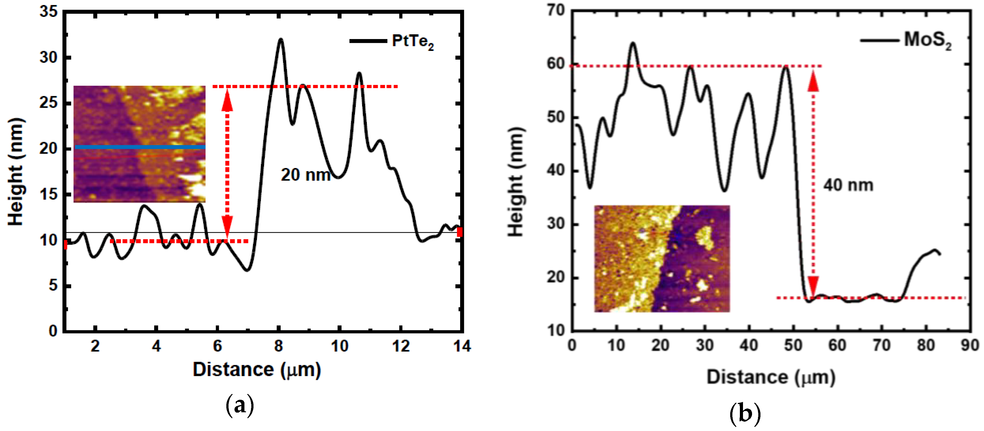 Nanomaterials 15 01415 g003