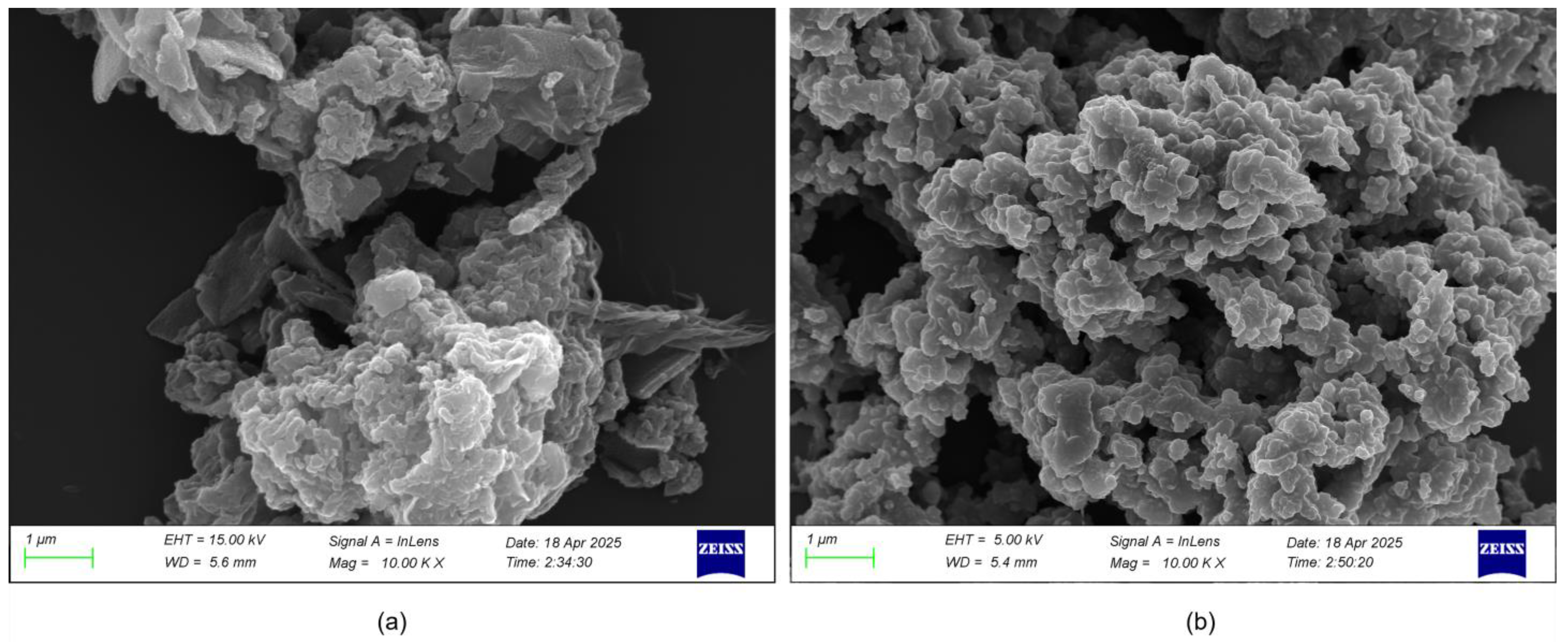 Nanomaterials 15 01416 g001