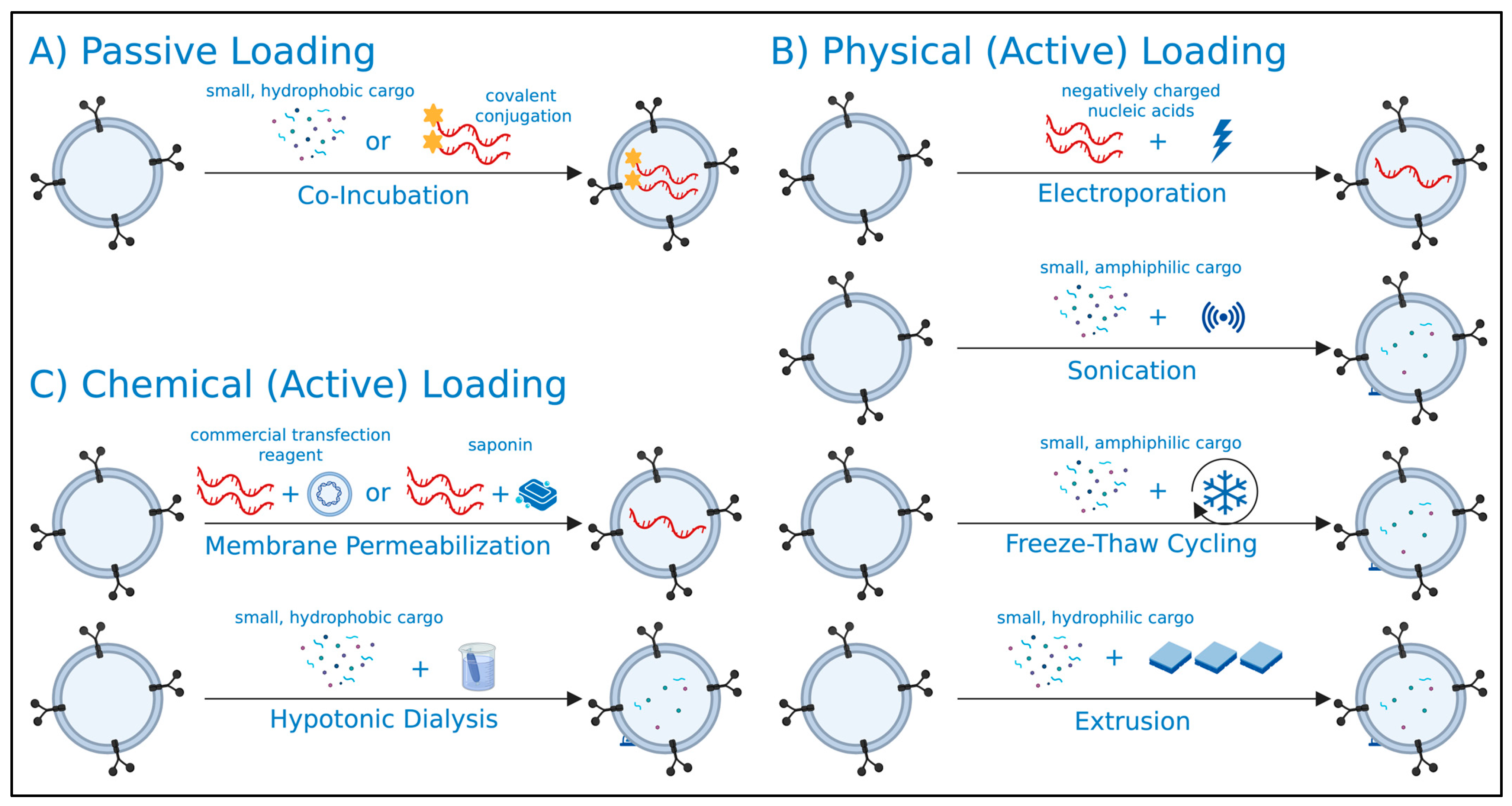 Nanomaterials 15 01418 g001 Nanomaterials 15 01418 g001