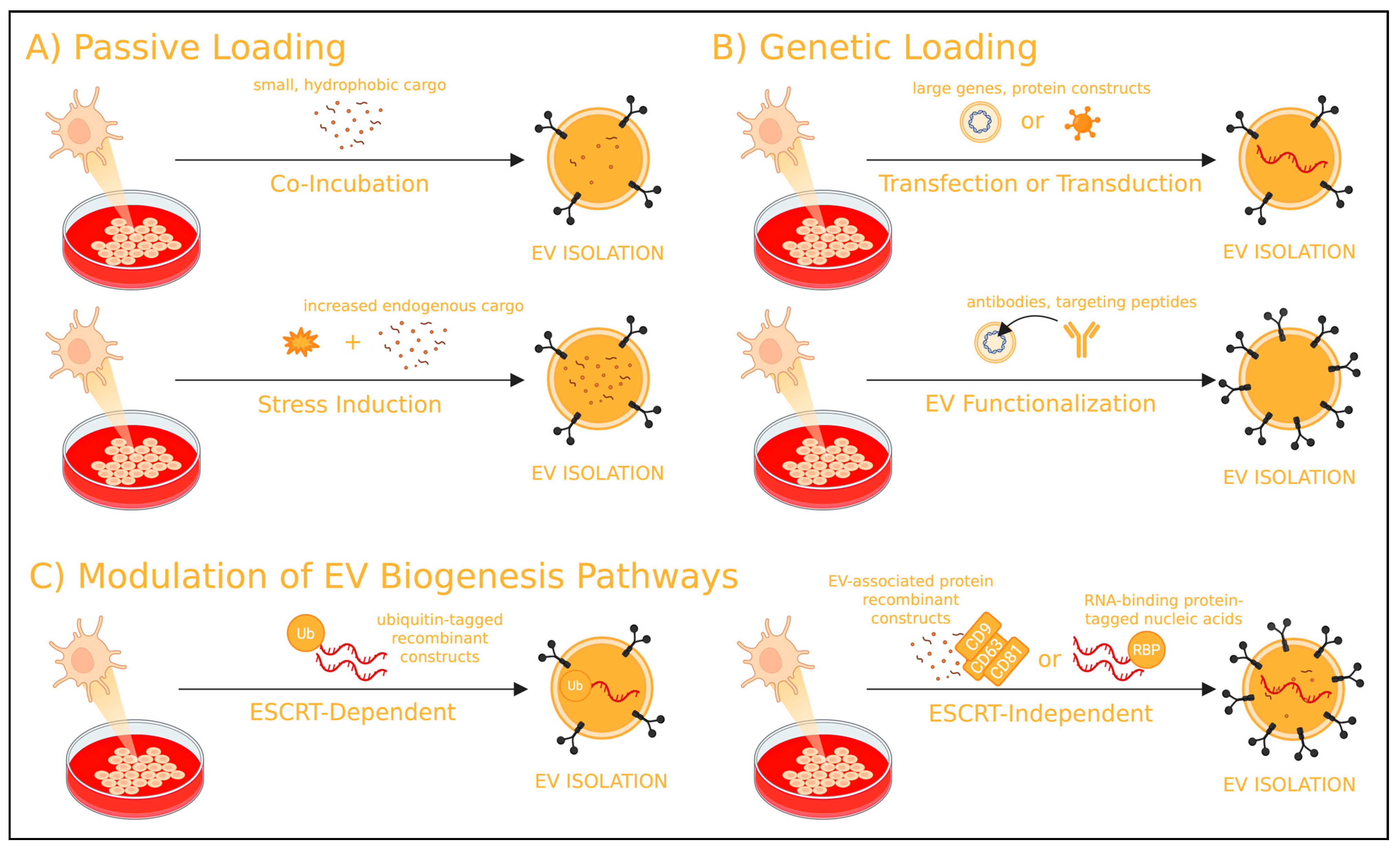 Nanomaterials 15 01418 g002 Nanomaterials 15 01418 g002