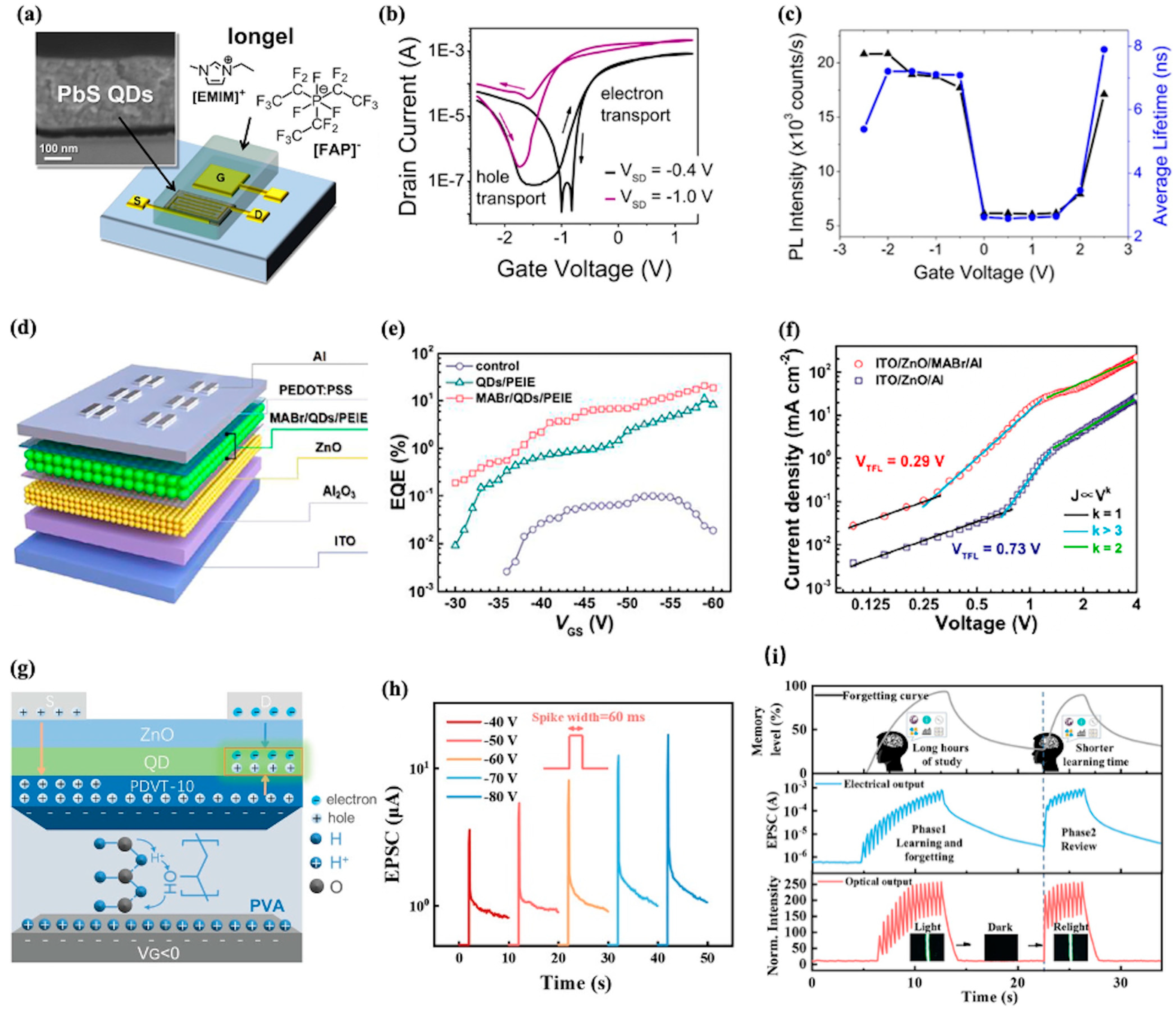 Nanomaterials 15 01422 g003