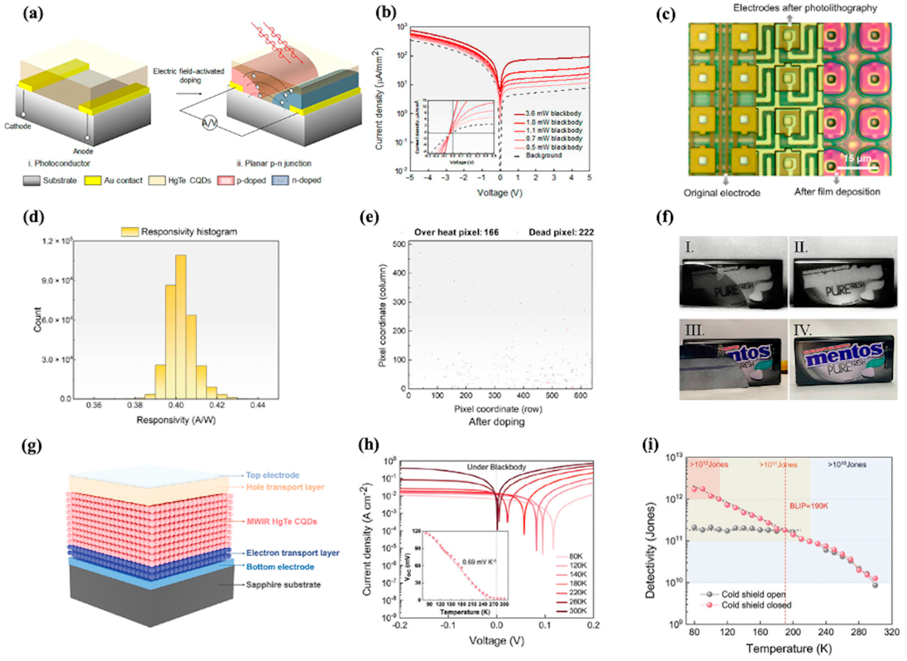 Nanomaterials 15 01422 g007