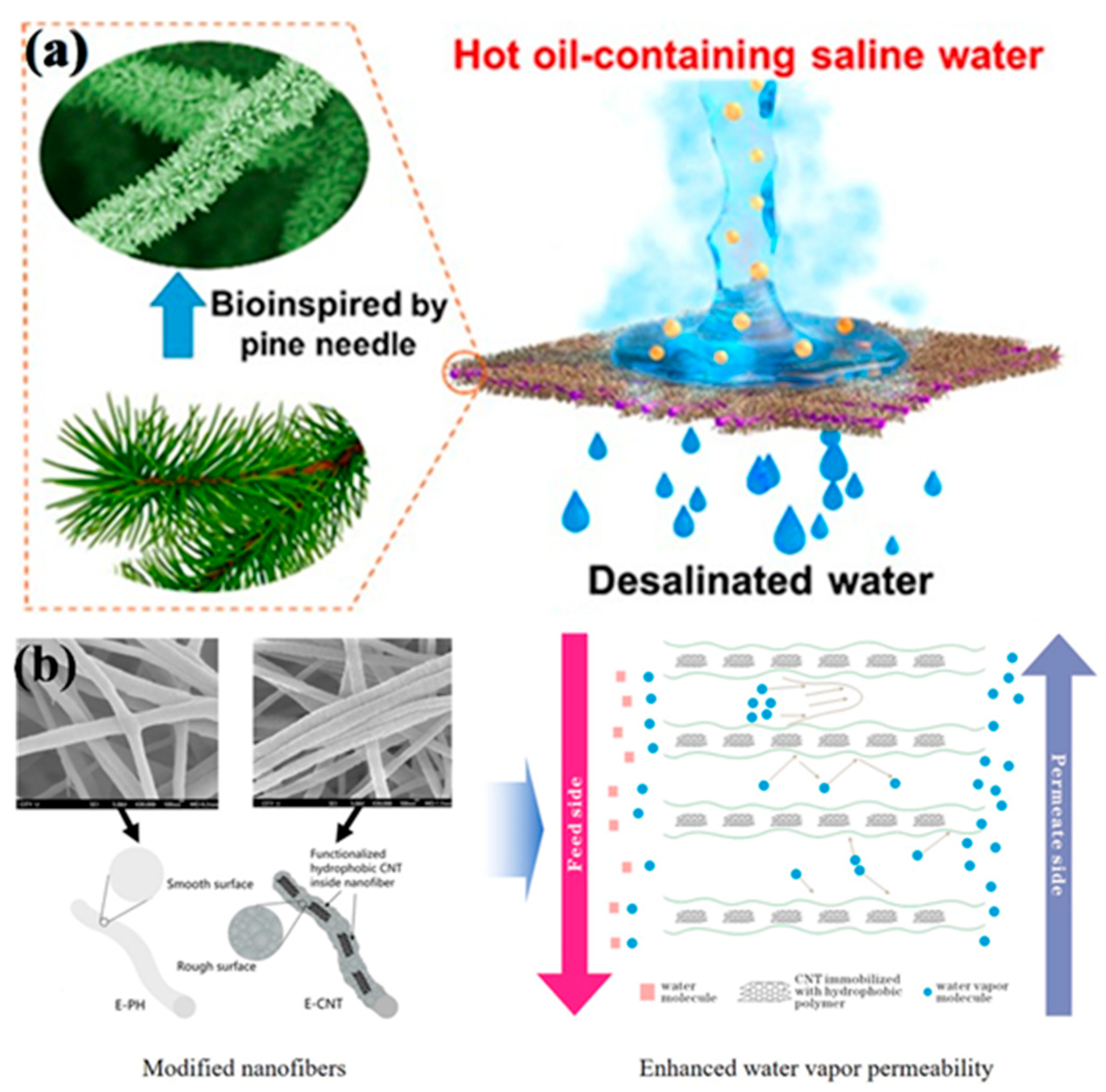 Nanomaterials 15 01424 g002