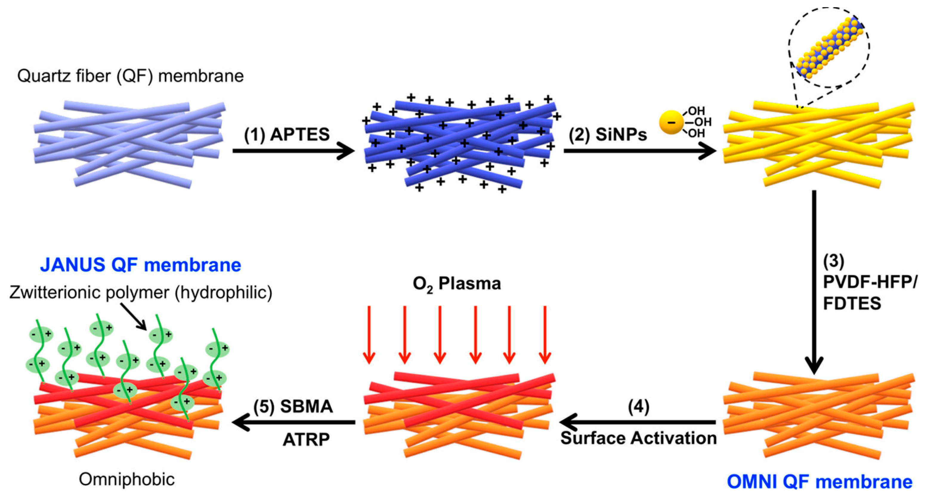 Nanomaterials 15 01424 g004